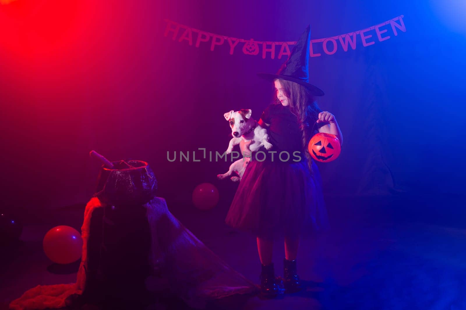 Funny child girl in witch costume for Halloween with pumpkin Jack and dog. by Satura86