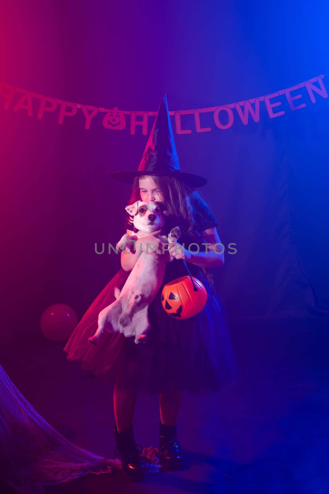 Funny child girl in witch costume for Halloween with pumpkin Jack and dog. by Satura86