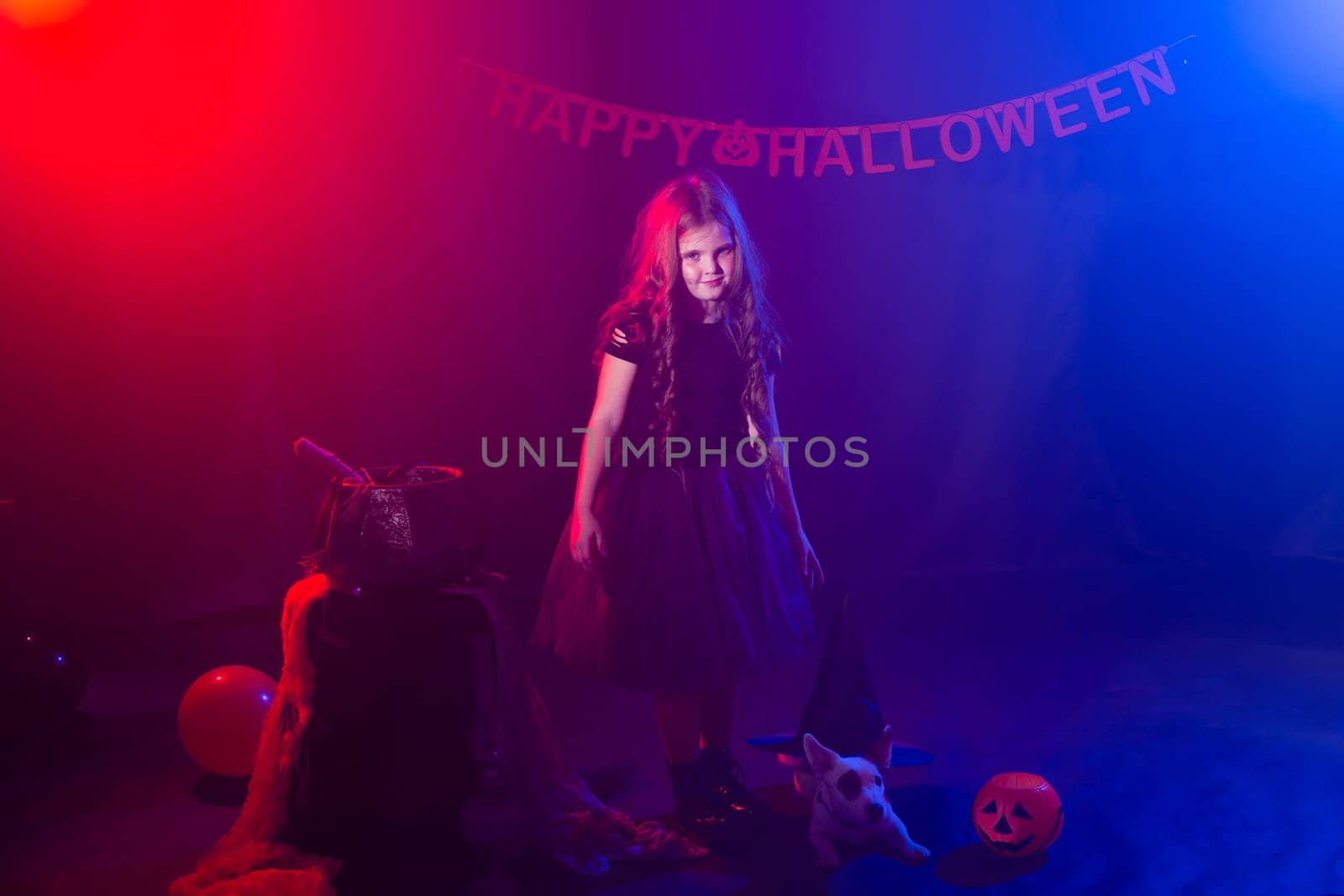 Funny child girl in witch costume for Halloween with pumpkin Jack and dog. by Satura86