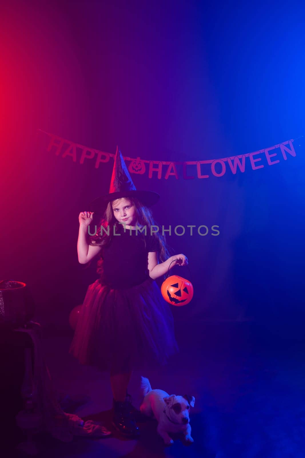 Funny child girl in witch costume for Halloween with pumpkin Jack and dog