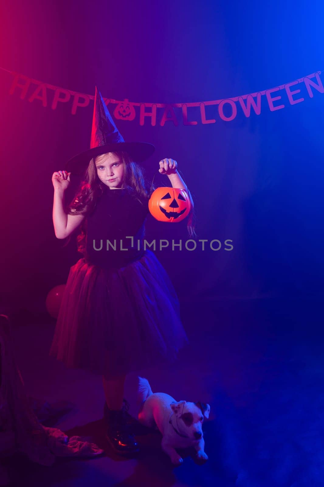 Funny child girl in witch costume for Halloween with pumpkin Jack and dog