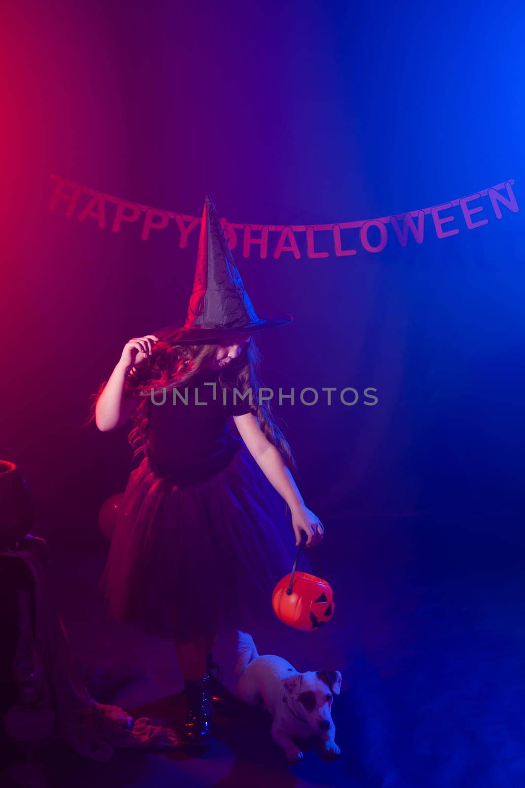 Funny child girl in witch costume for Halloween with pumpkin Jack and dog