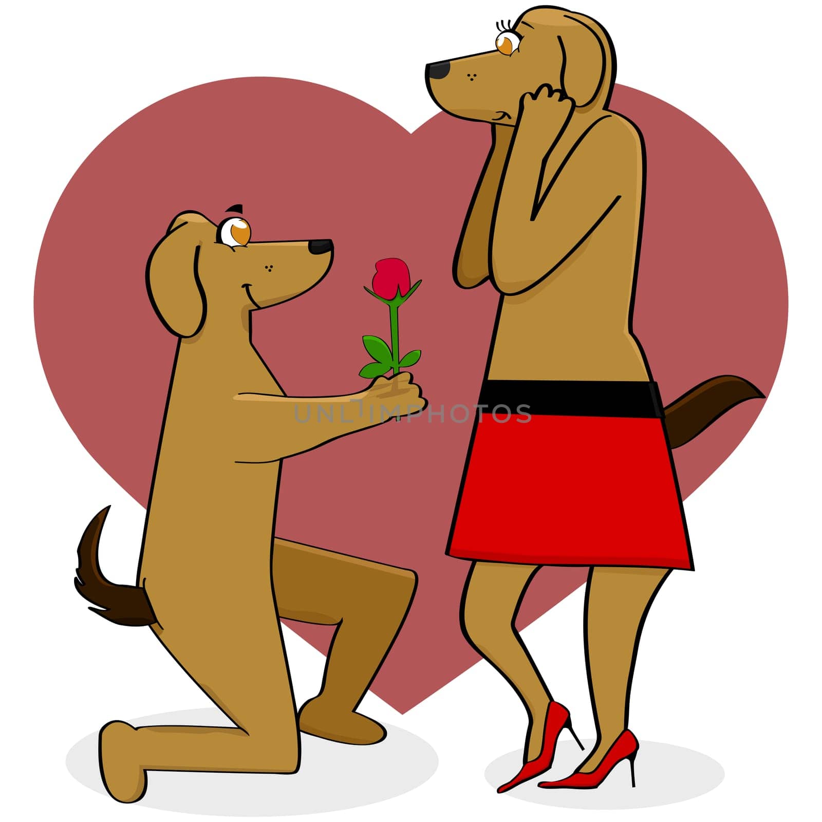Cartoon illustration showing a male dog giving a rose to a female dog