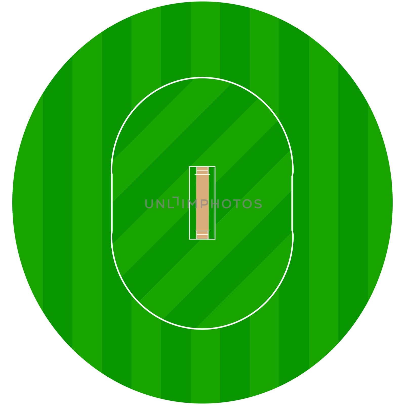 Illustration showing a ground with a cricket field in its center