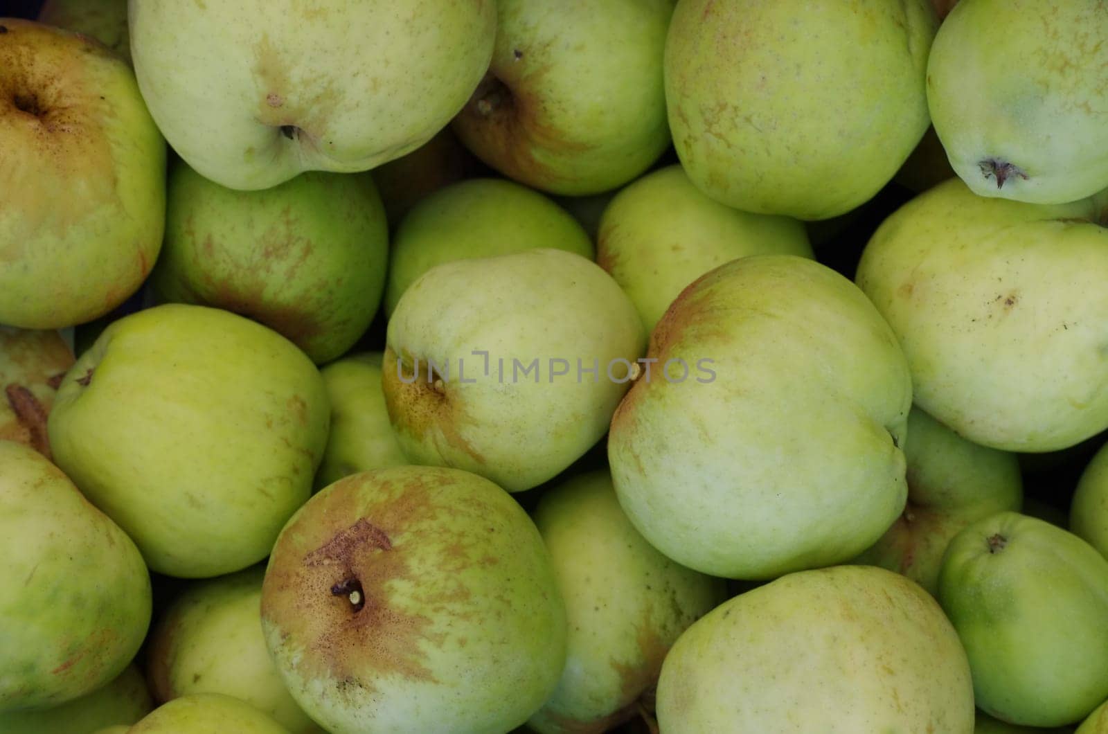 organic apples