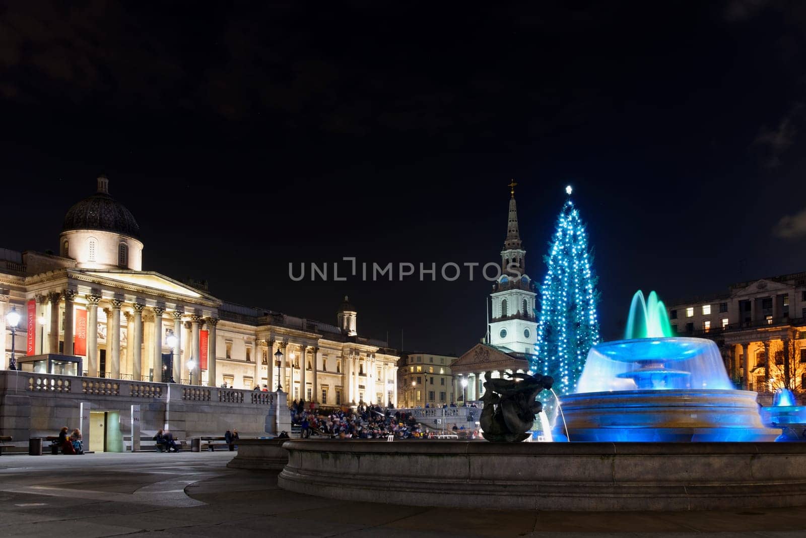 Christmas tree on Trafalgar Square at night in London, England, UK