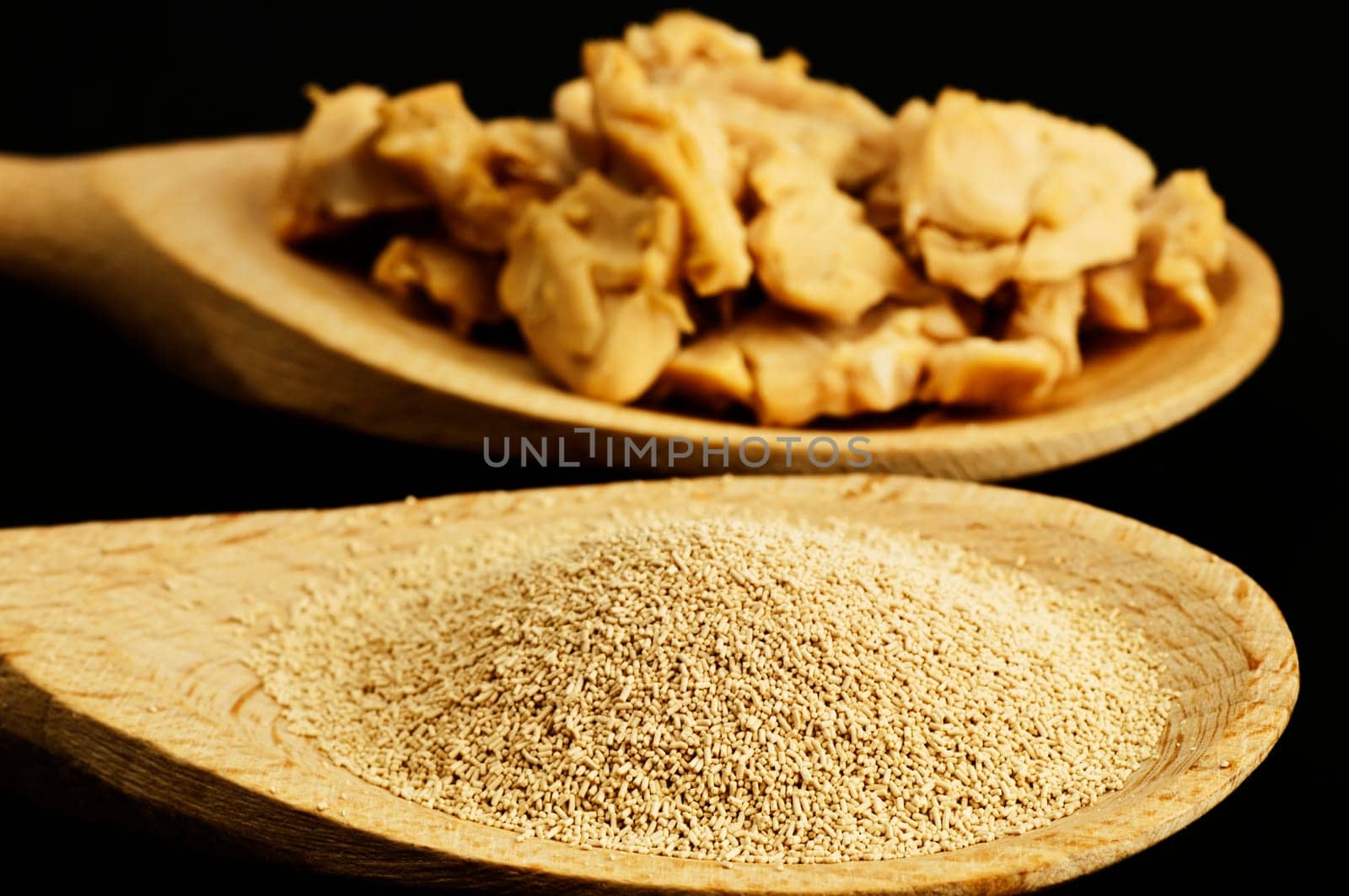 Baking ingredient dry yeast