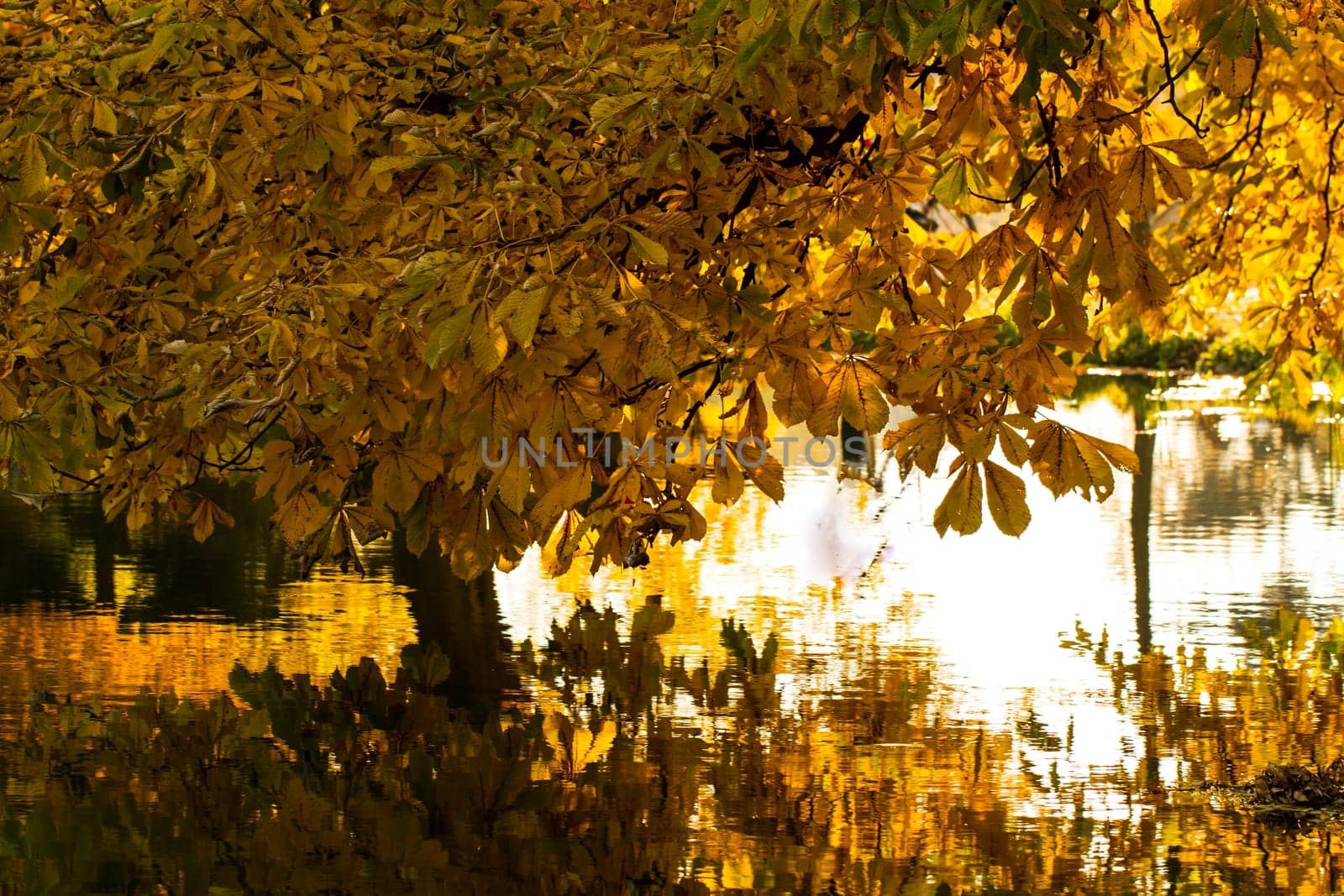 Beautiful colors of autumn landscape by the lake