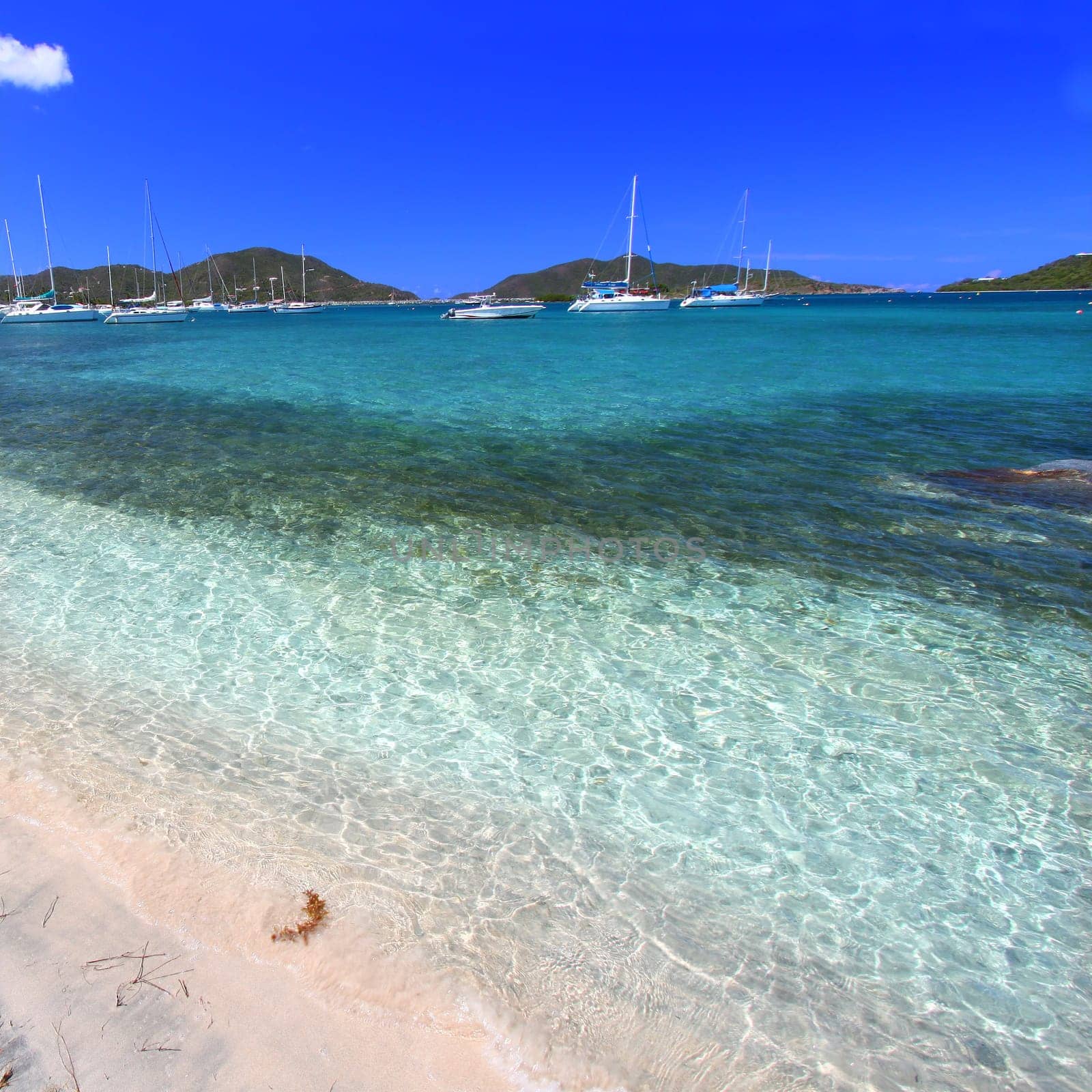 Beautiful beach in the British Virgin Islands.