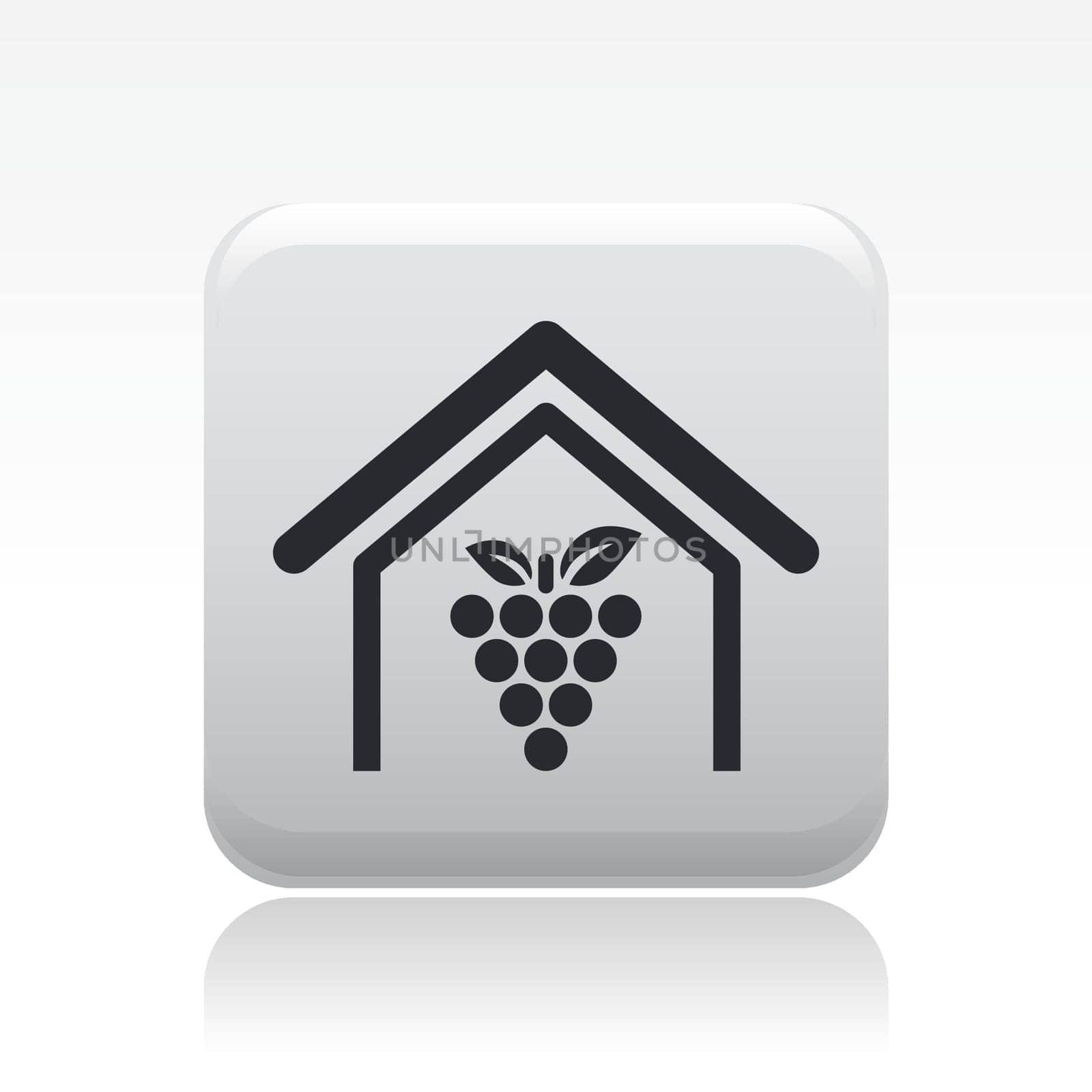 Vector illustration of single isolated grapes icon