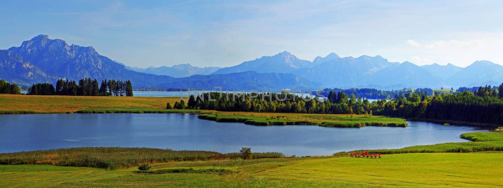Panorama from the Forggensee in the Ostallgäu