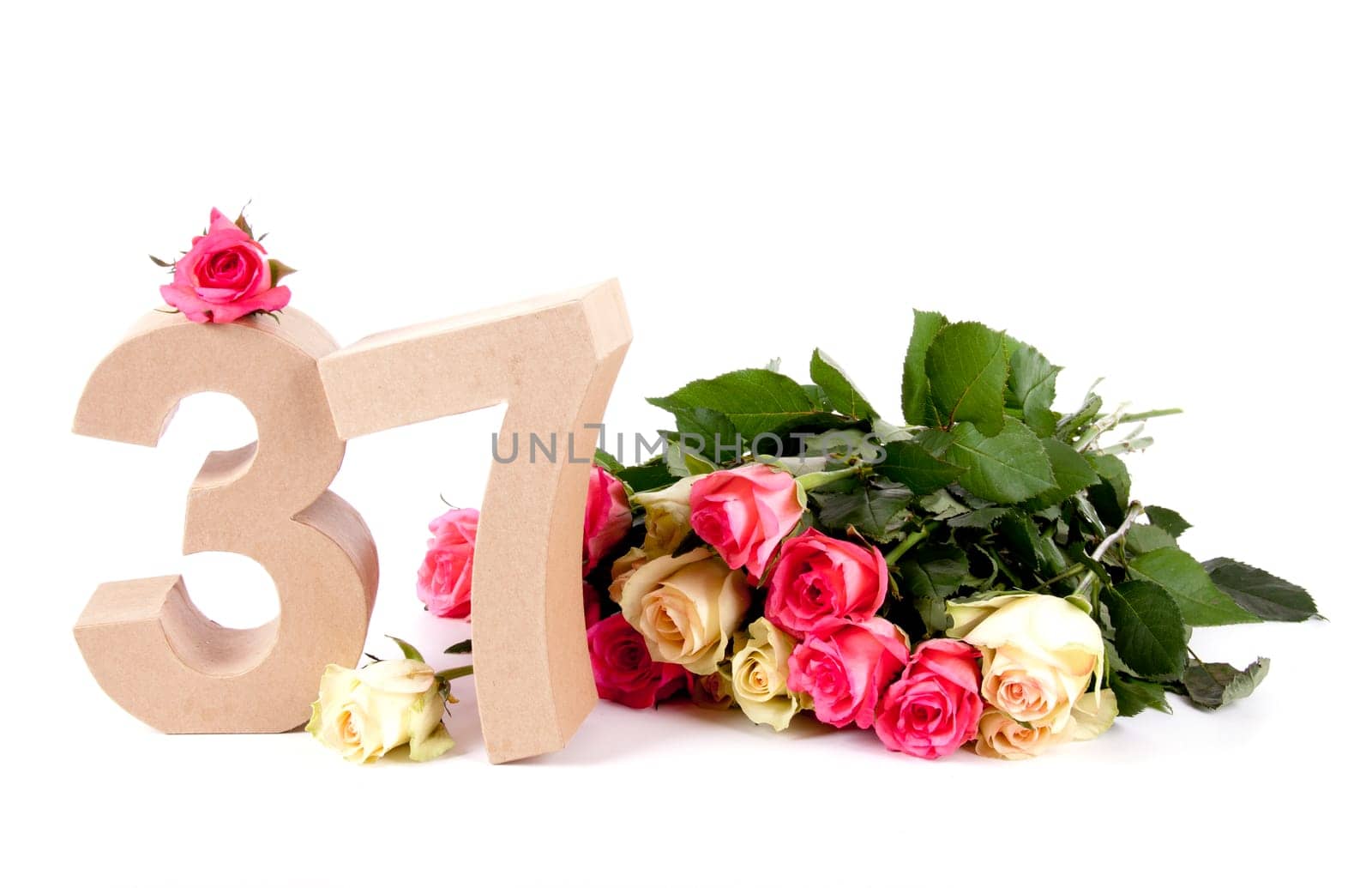 Number of age in a colorful studiosetting,surrounded with roses