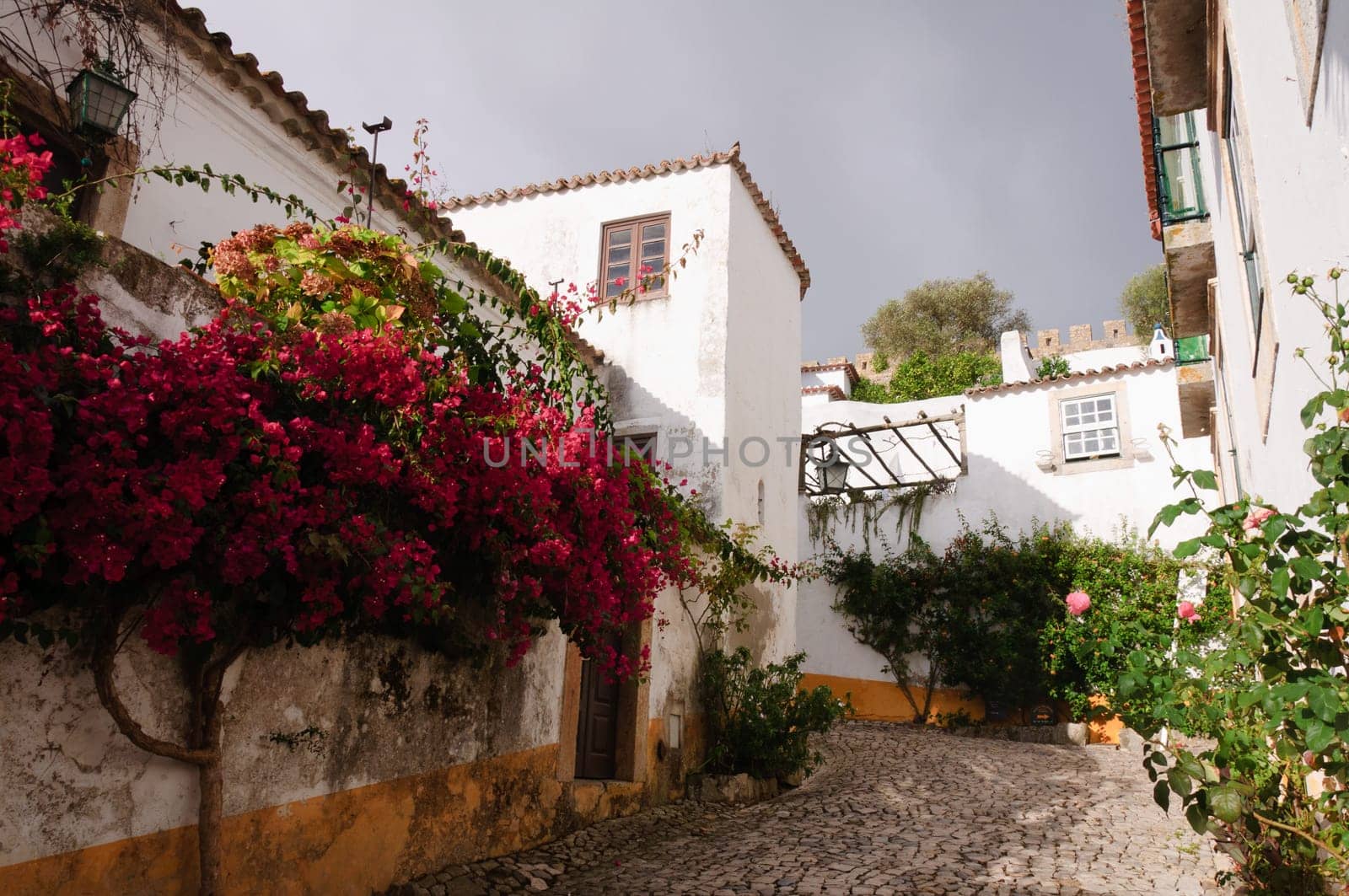 Medieval houses in the ancient city of Obidos, Portugal with castle walls  in the background