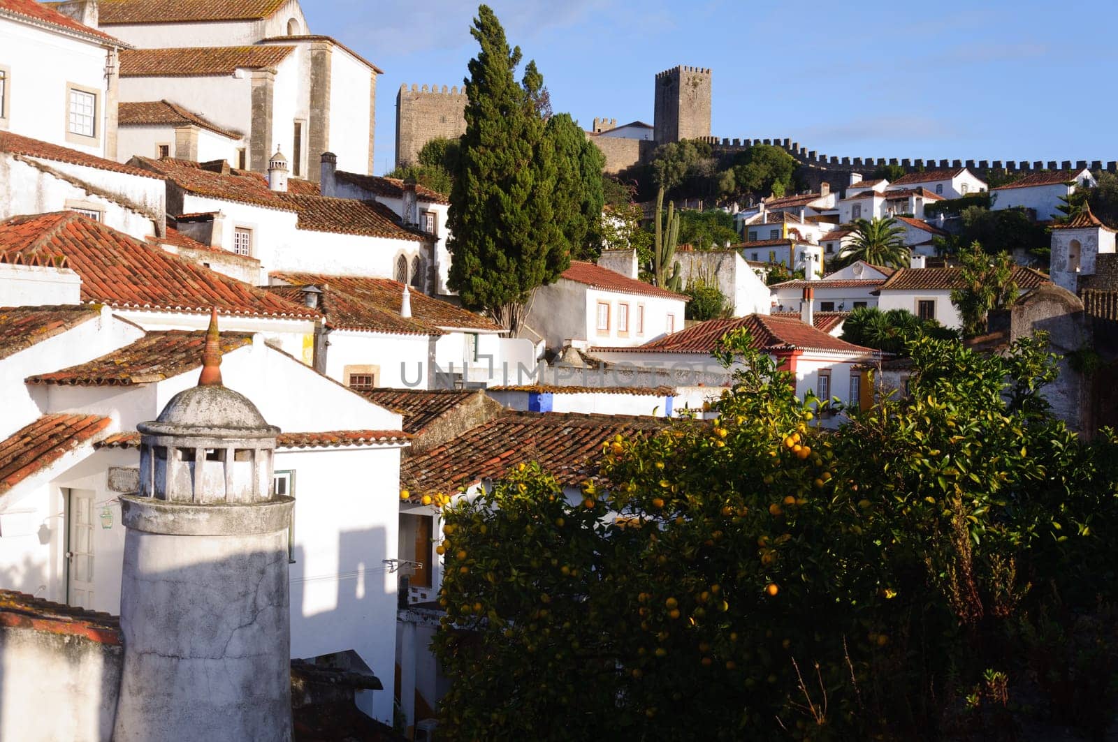 Medieval houses in the ancient city of Obidos, Portugal with castle walls  in the background
