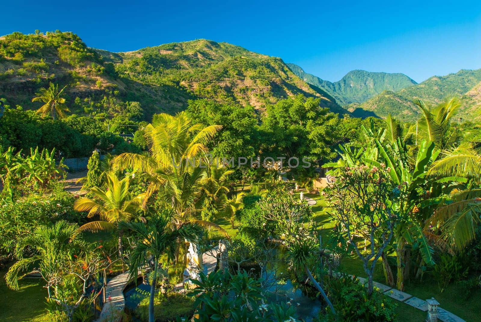 Forest path and the hills of Bali