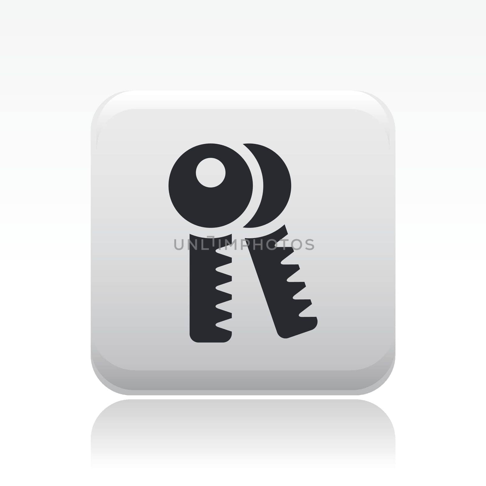 Vector illustration of single isolated keys icon