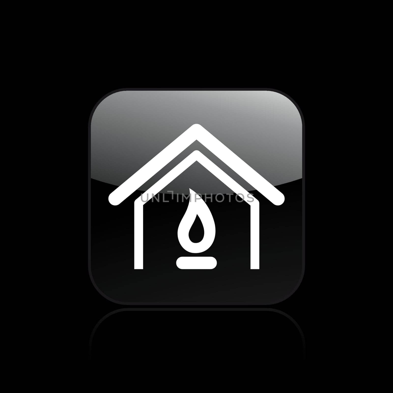 Vector illustration of single isolated home icon