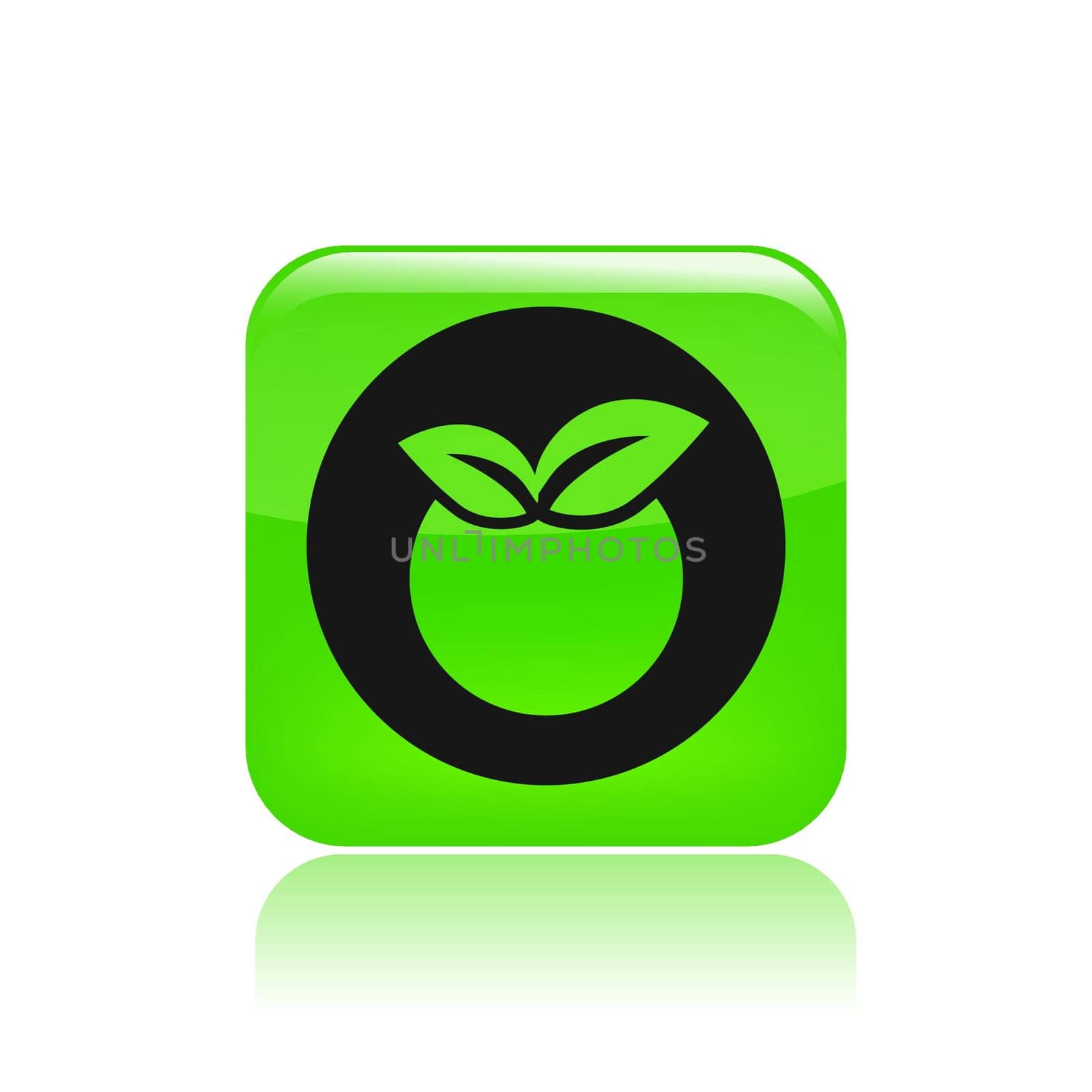 Vector illustration of single isolated fruit icon
