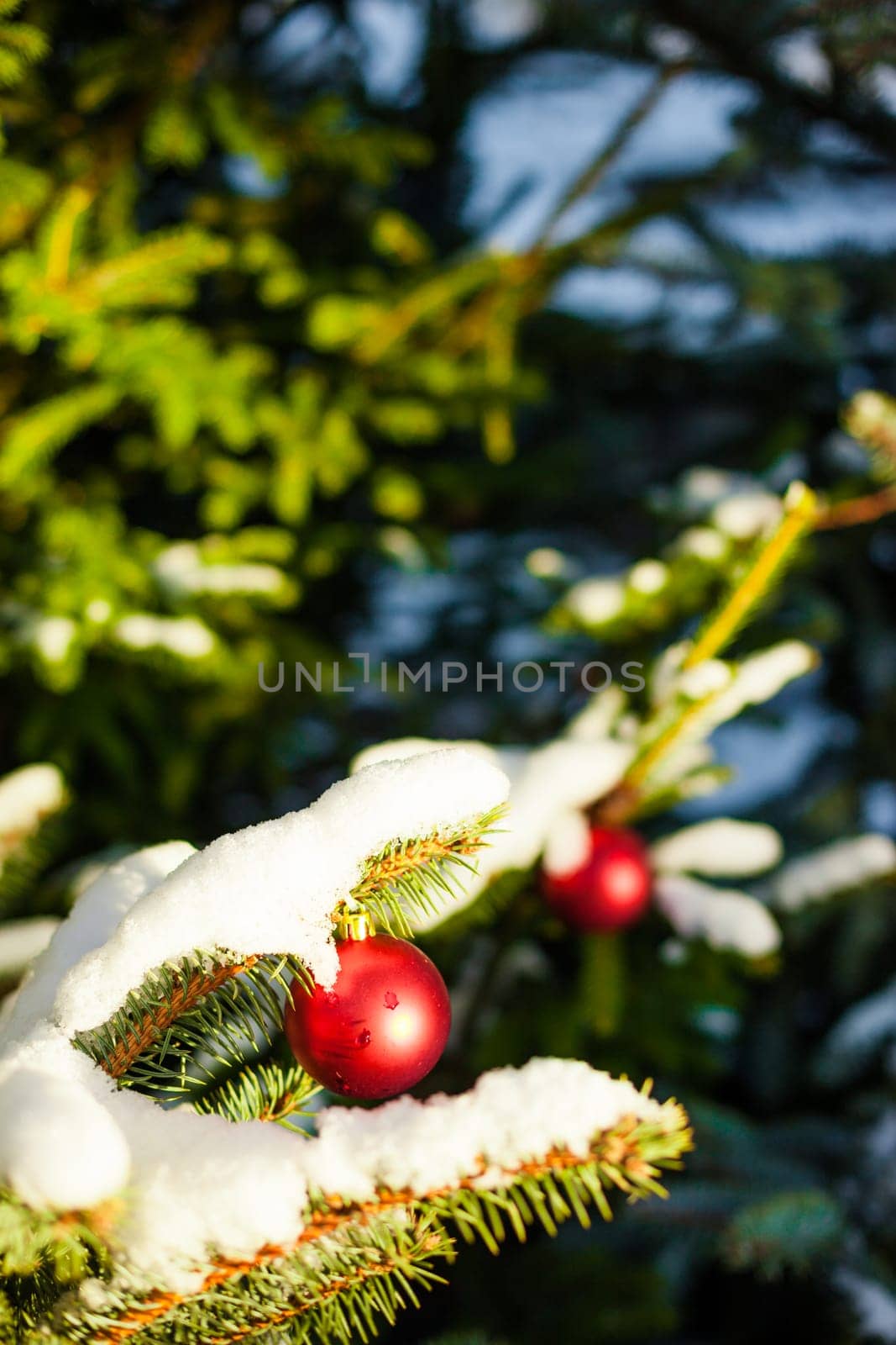 Merry Christmas and a Happy New Year Red Ornament