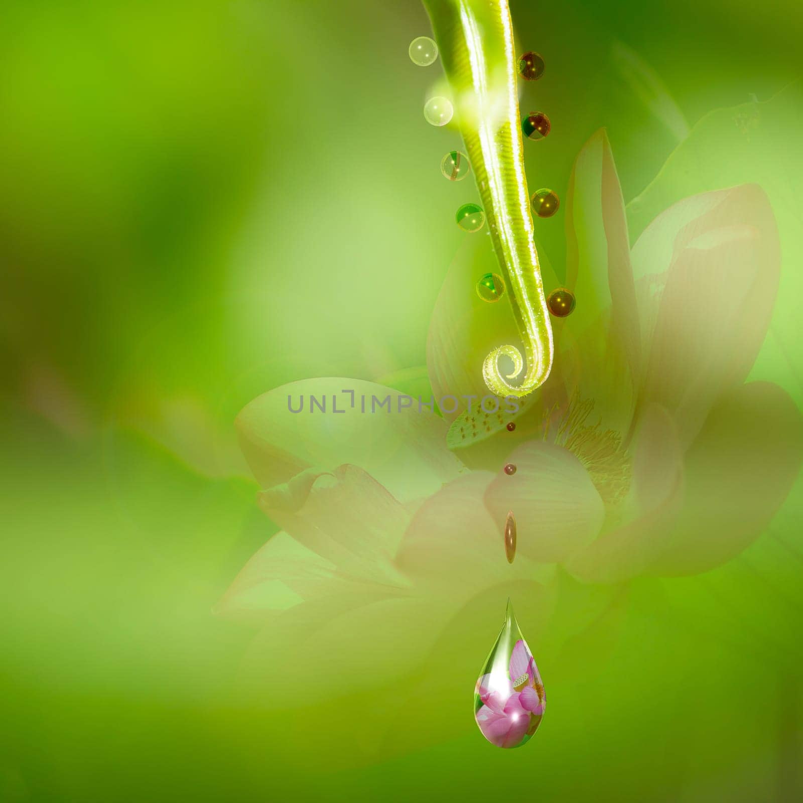 Water drop with nice flower in it for adv or others purpose use