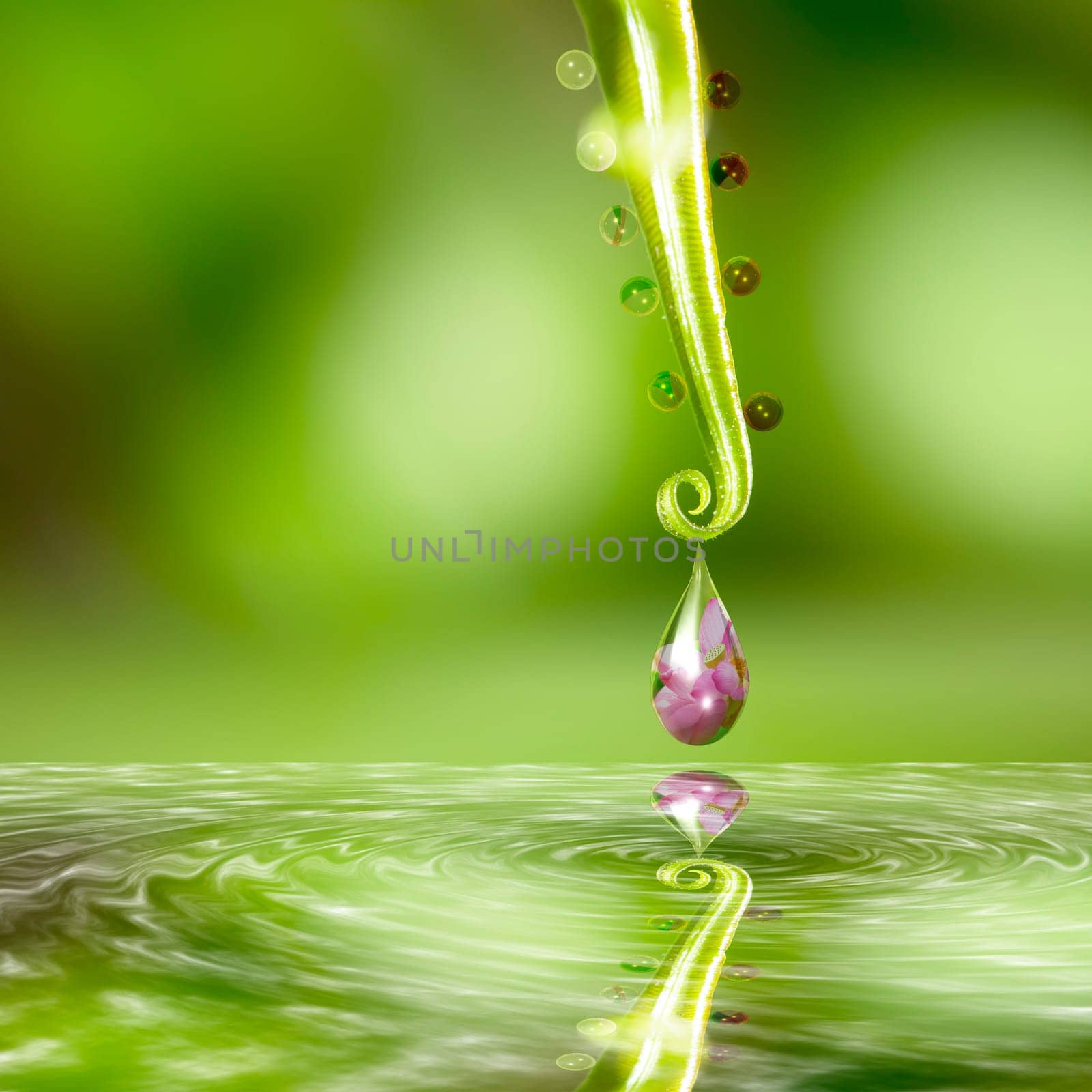 Water drop with nice flower in it for adv or others purpose use