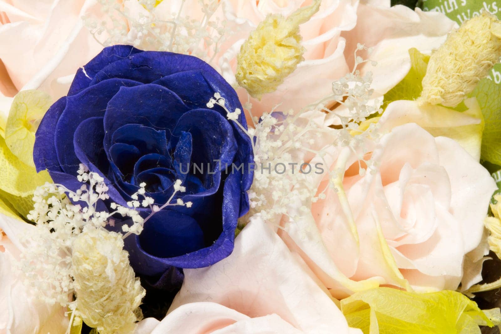 Fine rose for adv or others purpose use