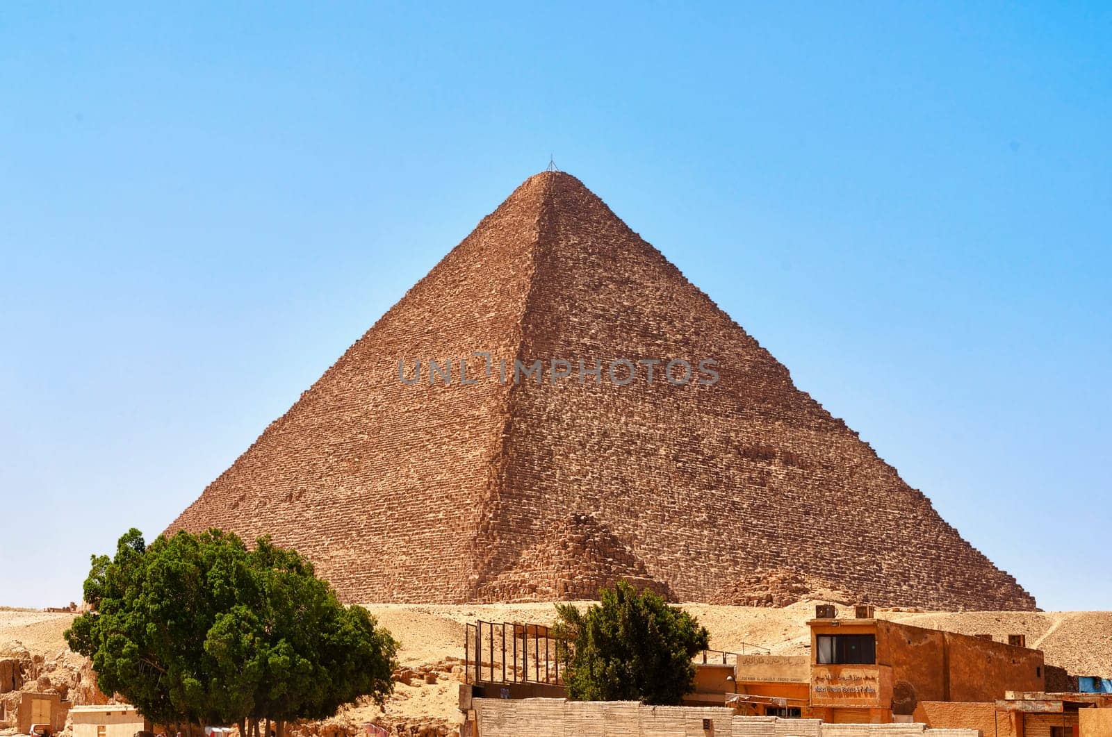 CHEOPS PYRAMID WITH TREES
