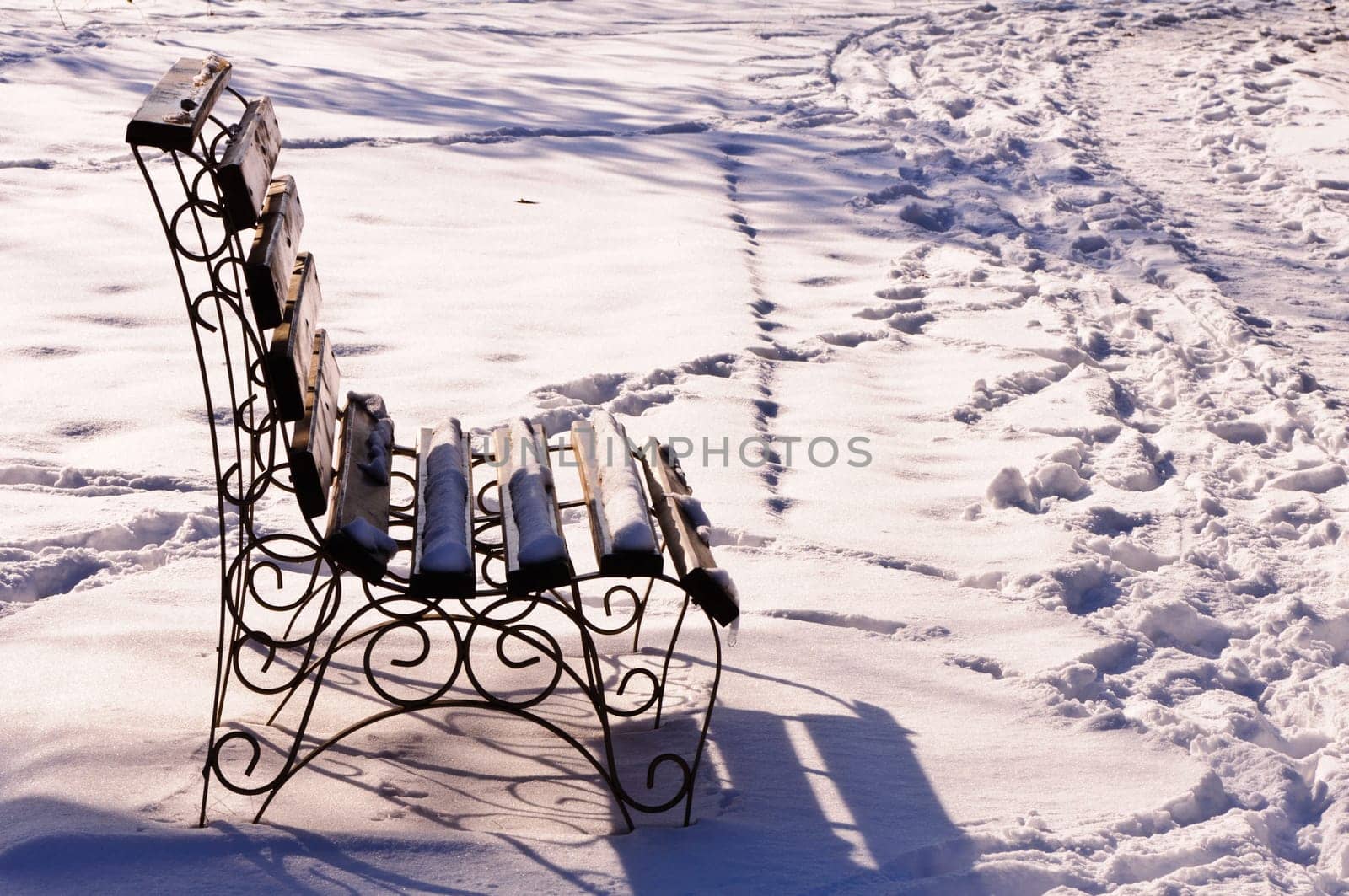 Park Bench In Winter - wood bench in a park covered with snow