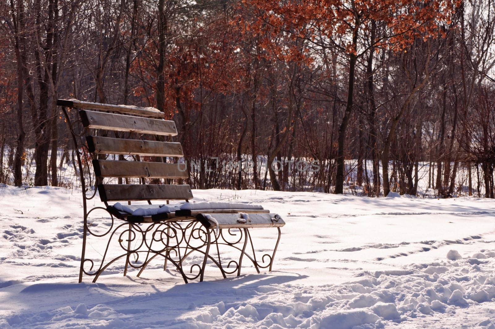 Park Bench In Winter - wood bench in a park covered with snow