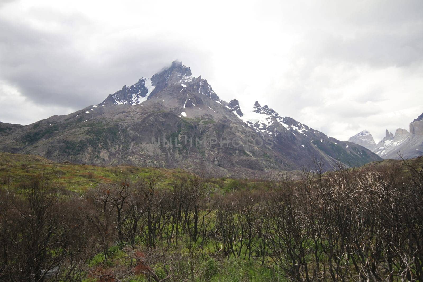 W Trek on Torres Del Paine Park