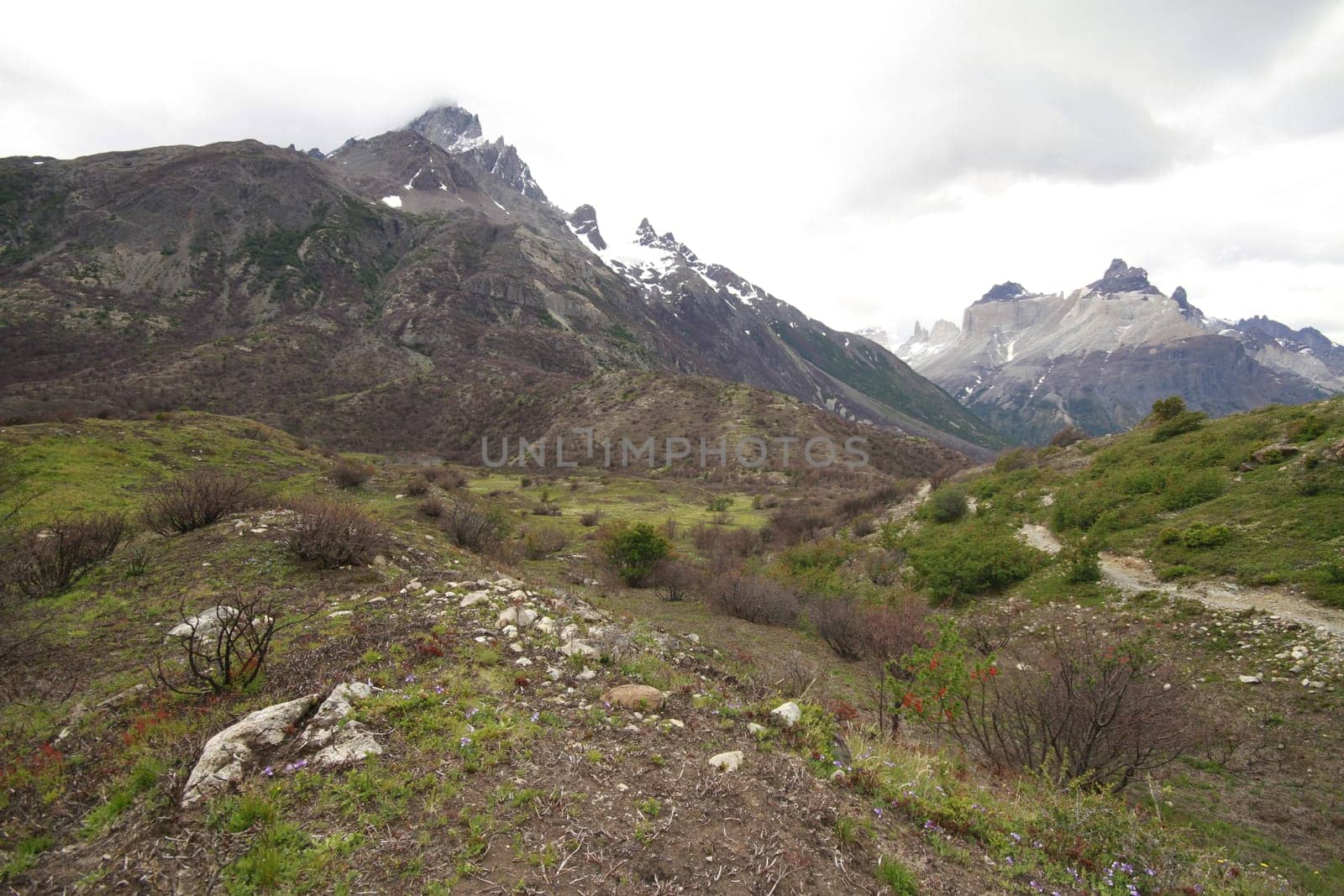 W Trek on Torres Del Paine Park