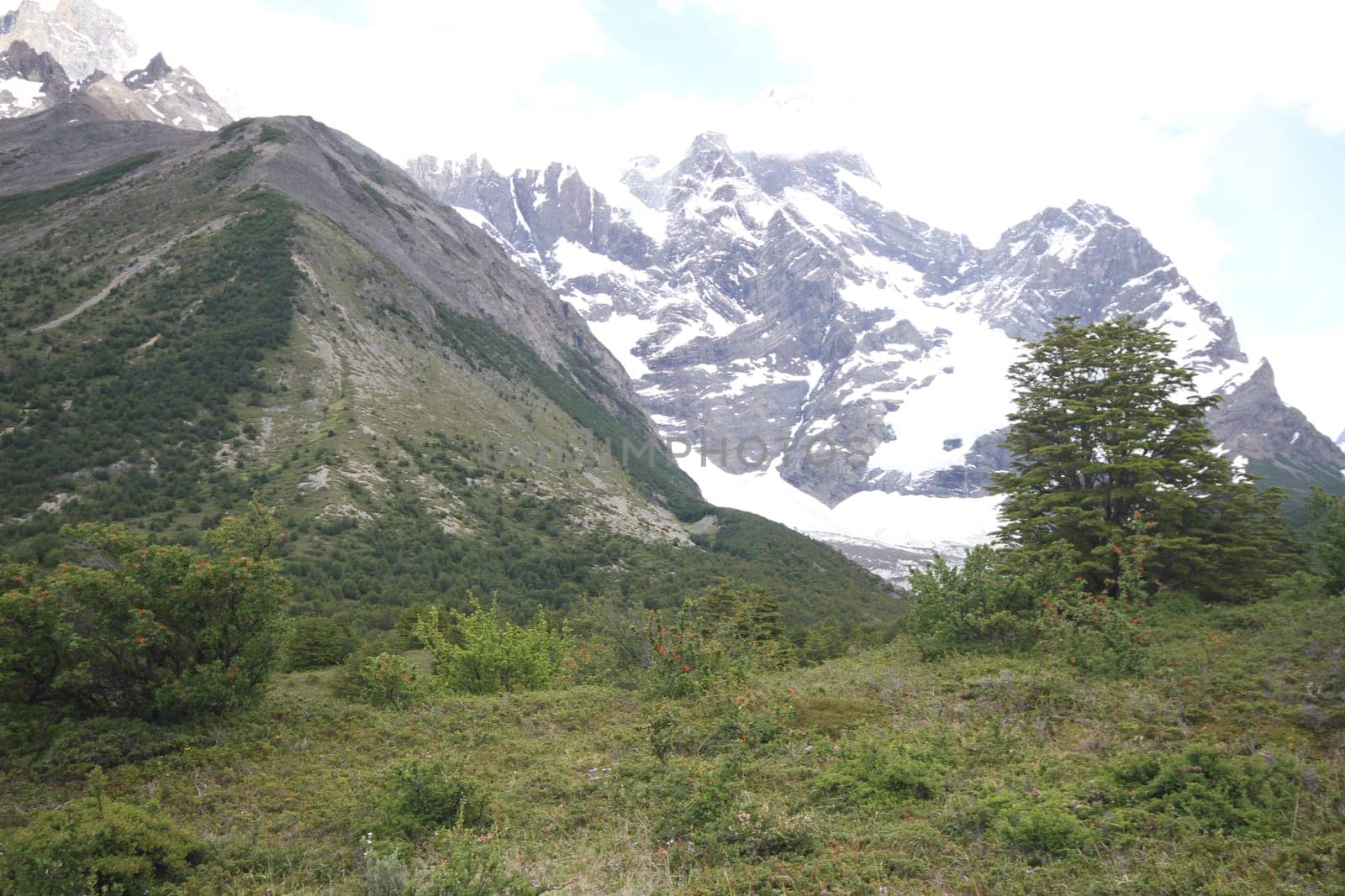 W Trek on Torres Del Paine Park