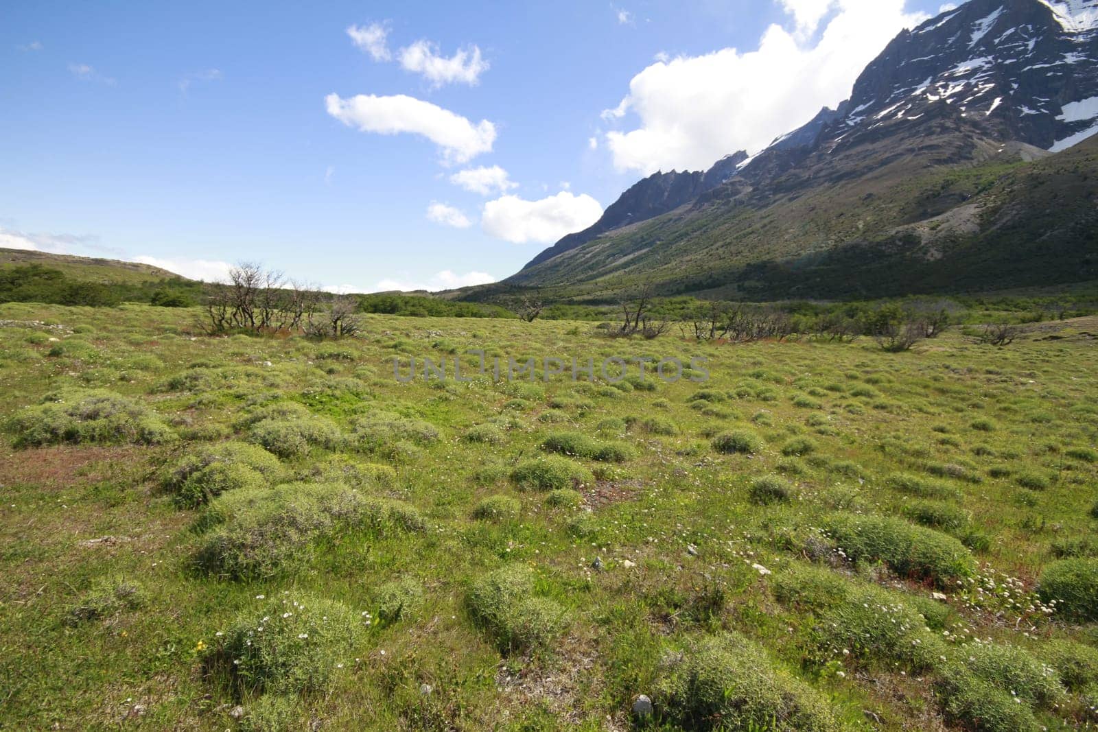W Trek on Torres Del Paine Park