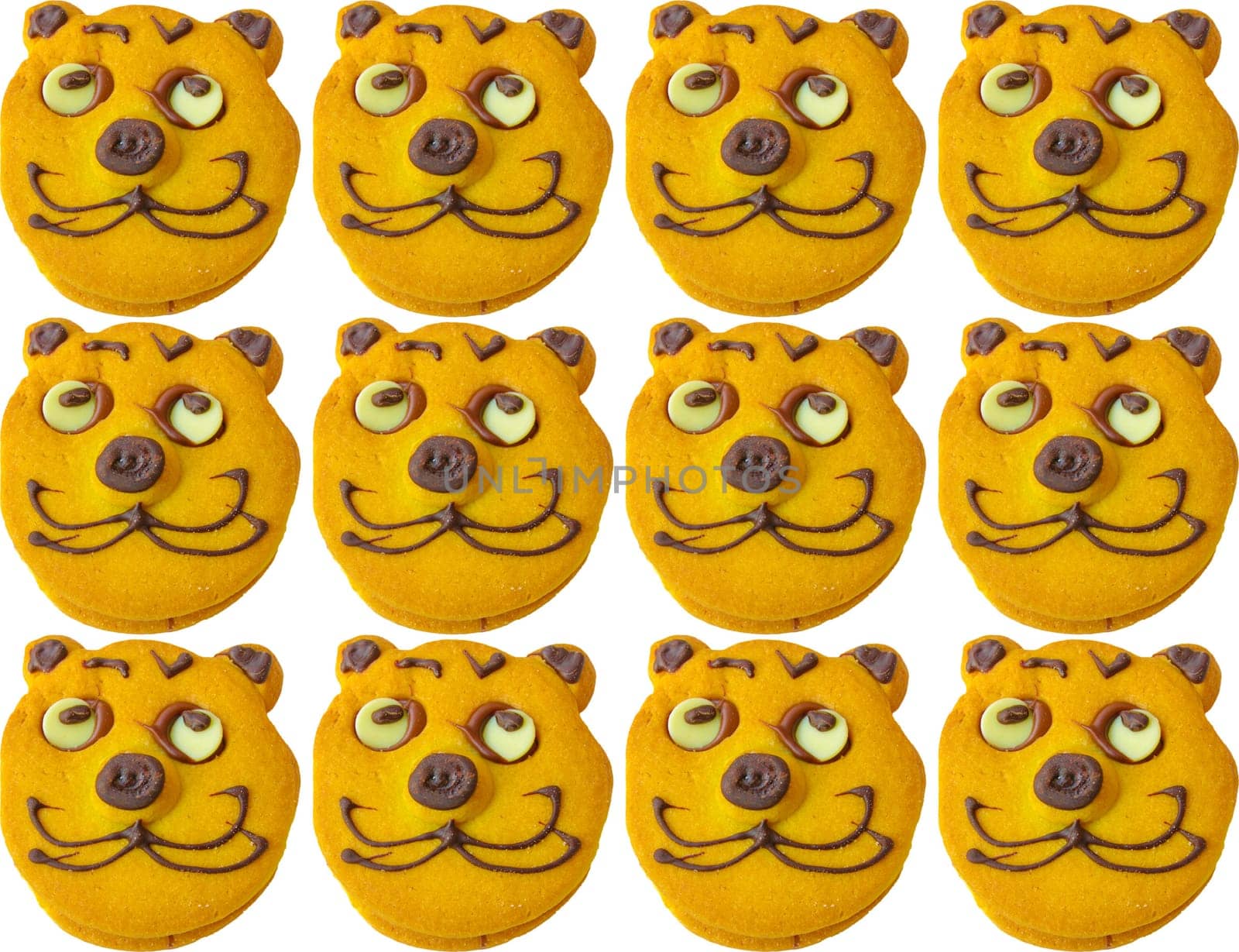 Range of homemade baked cookies with cat face isolated on white