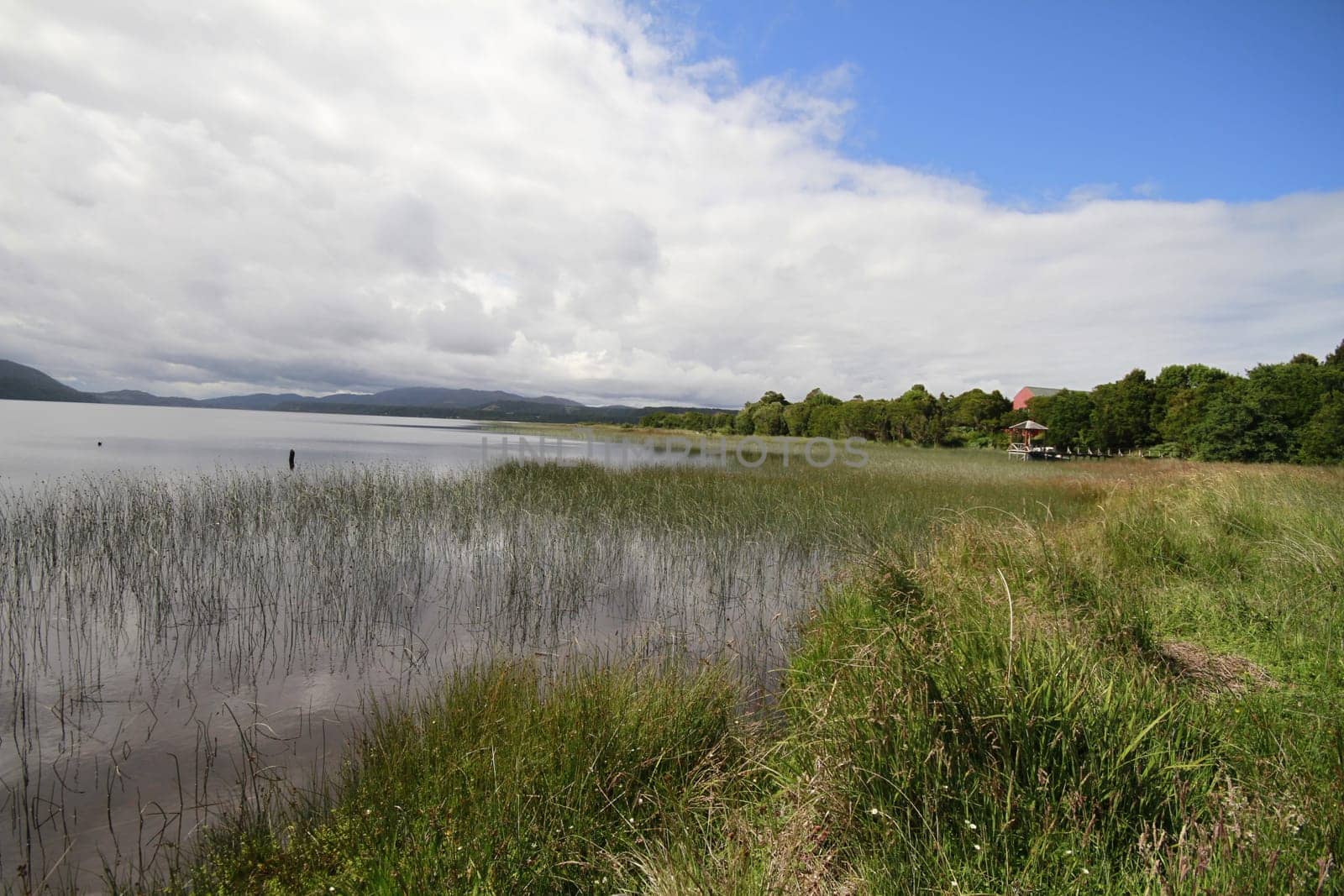 Parque nacional de chiloe