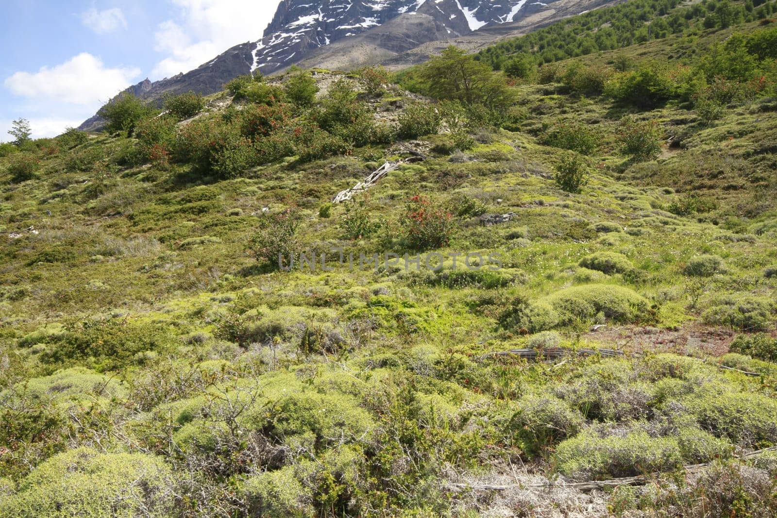 W Trek on Torres Del Paine Park