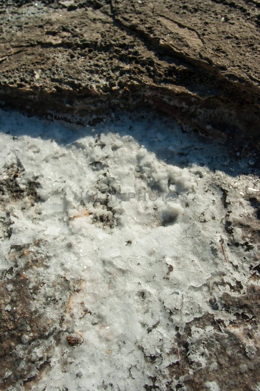 sea salt crystals on the beach