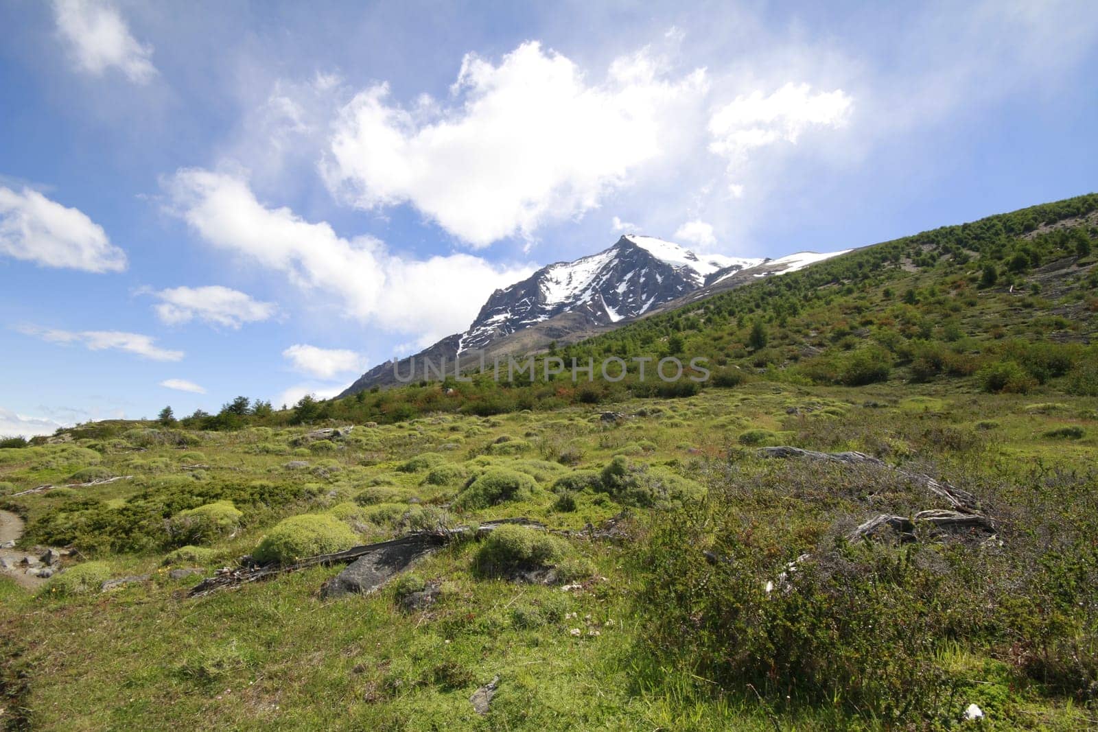 W Trek on Torres Del Paine Park