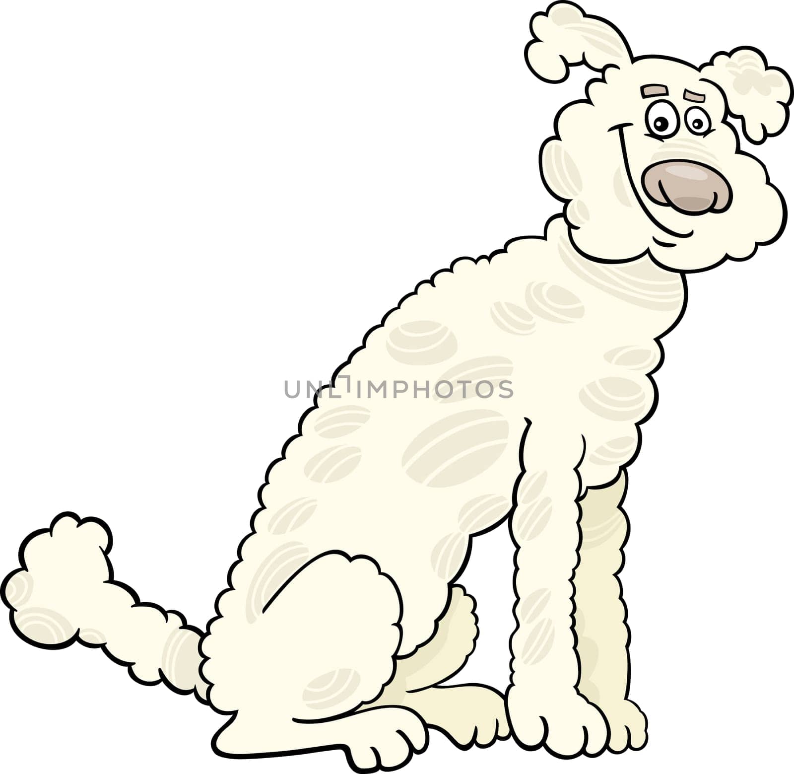 Cartoon Illustration of Cute White or Beige Poodle Dog