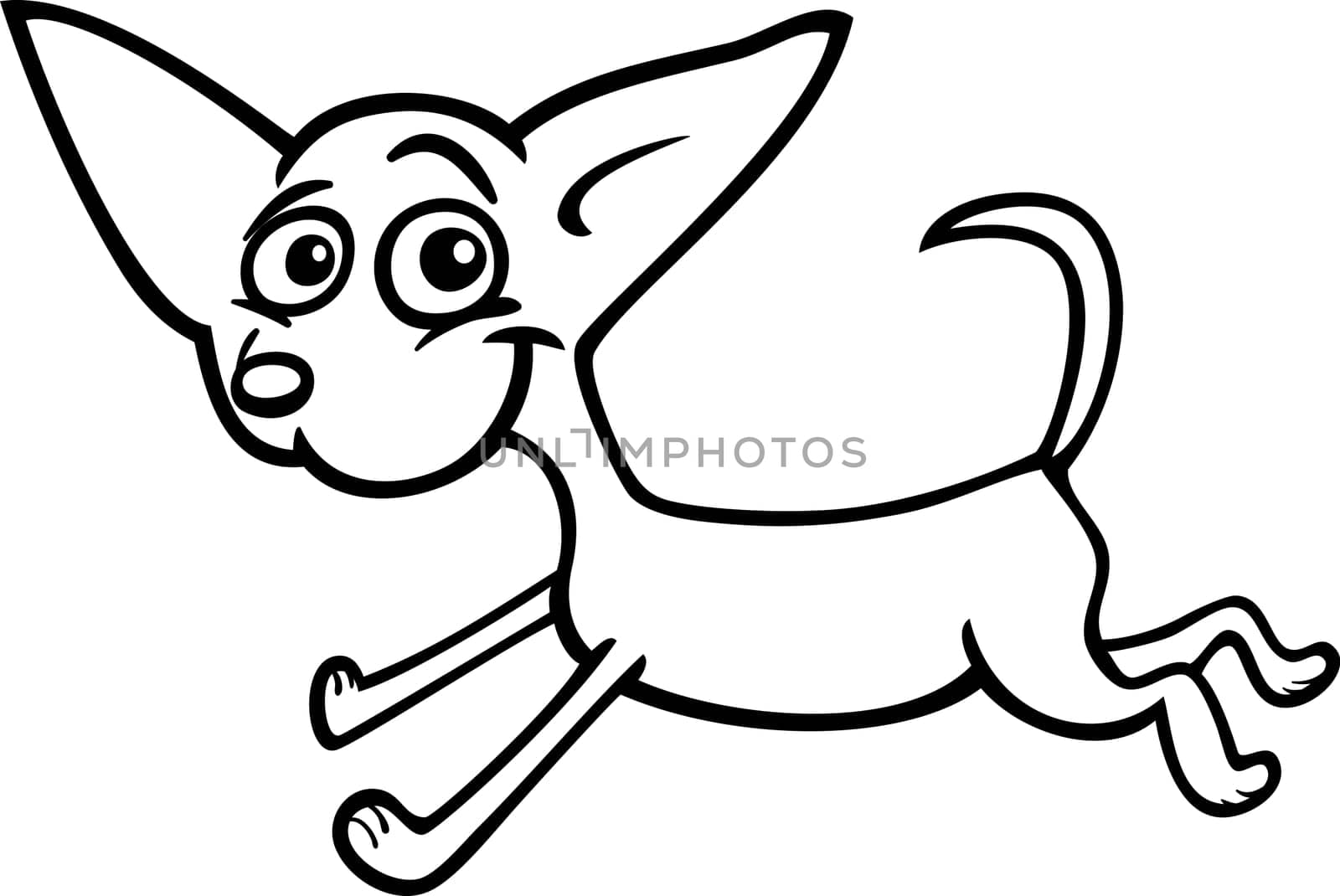Cartoon Illustration of Funny Purebred Running Chihuahua Dog for Coloring Book or Coloring Page