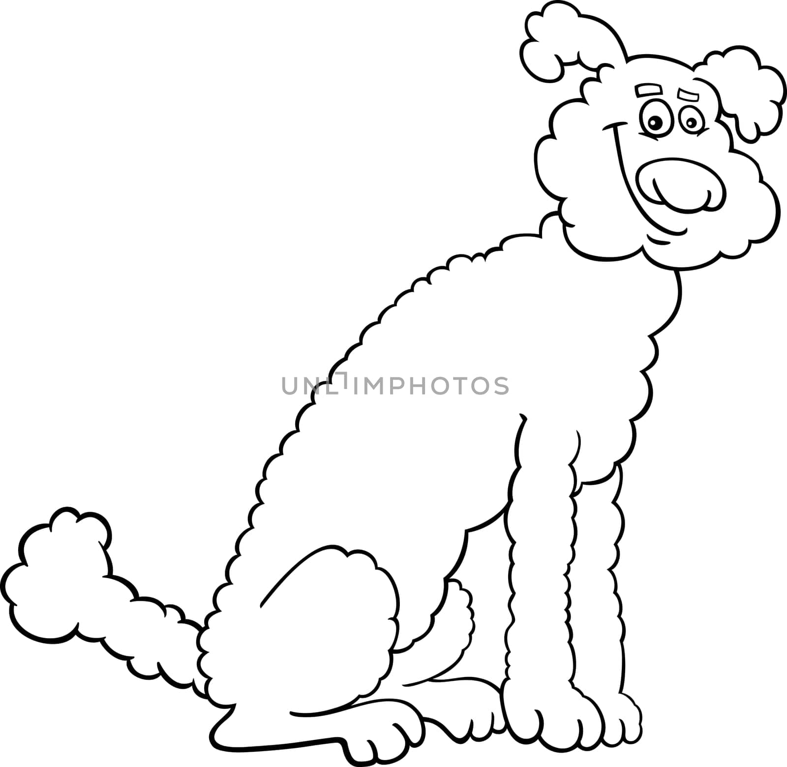 Black and White Cartoon Illustration of Cute Poodle Dog for Coloring Book or Coloring Page