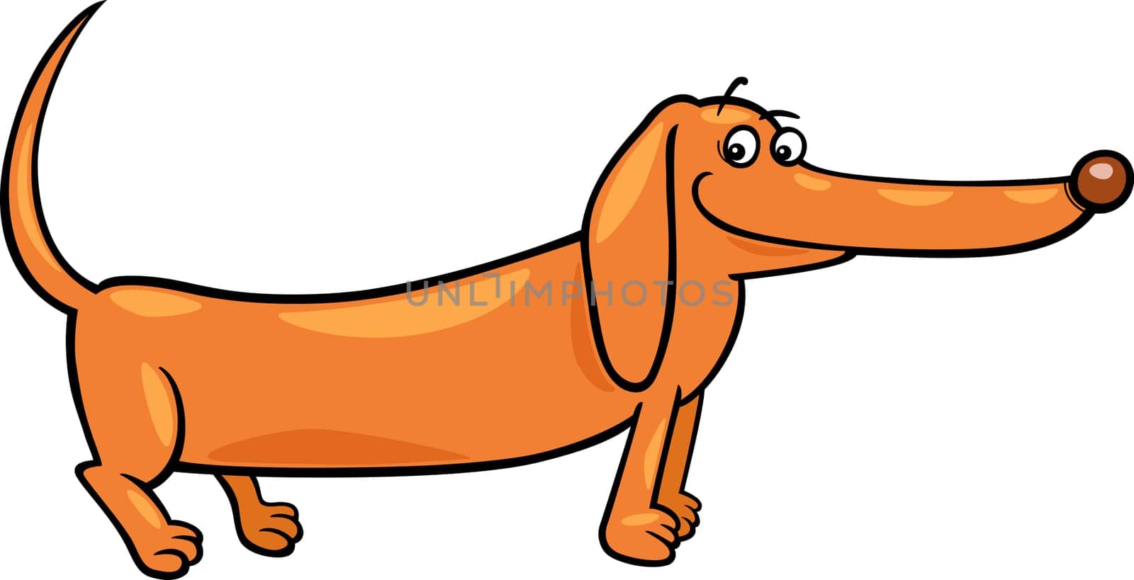 Cartoon Illustration of Cute Purebred Dachshund Dog