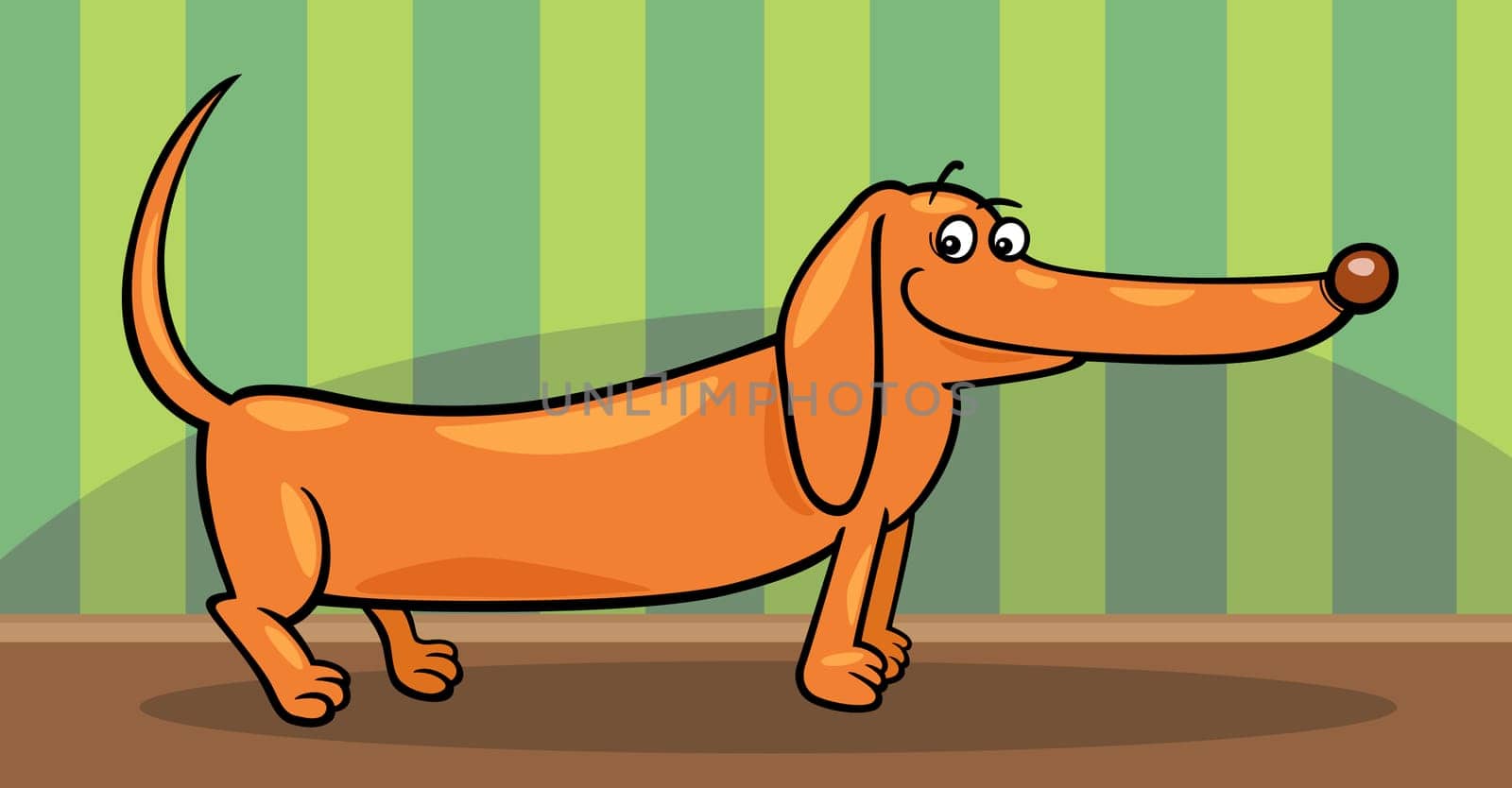 Cartoon Illustration of Cute Purebred Dachshund Dog at Home