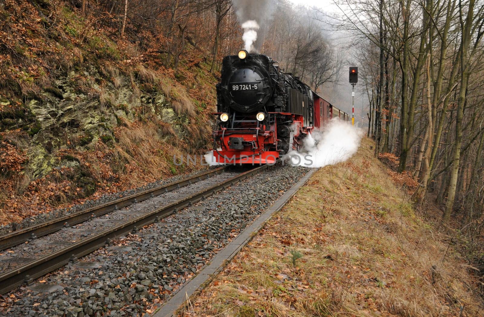 The Harz narrow-gauge railway on the way to the Brocken