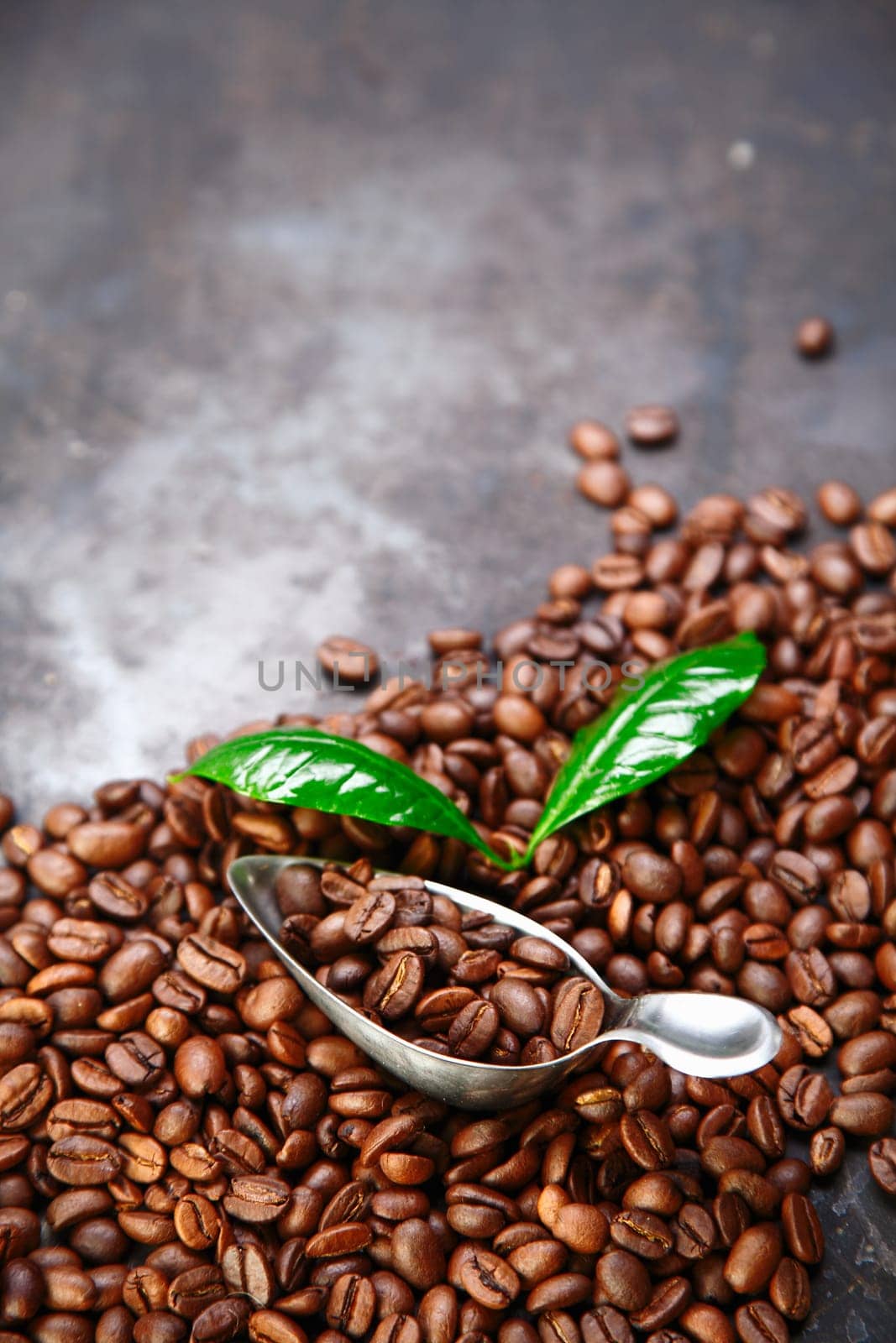 Coffee bean background over grey texture with coffee leaves and scoop and space for your text