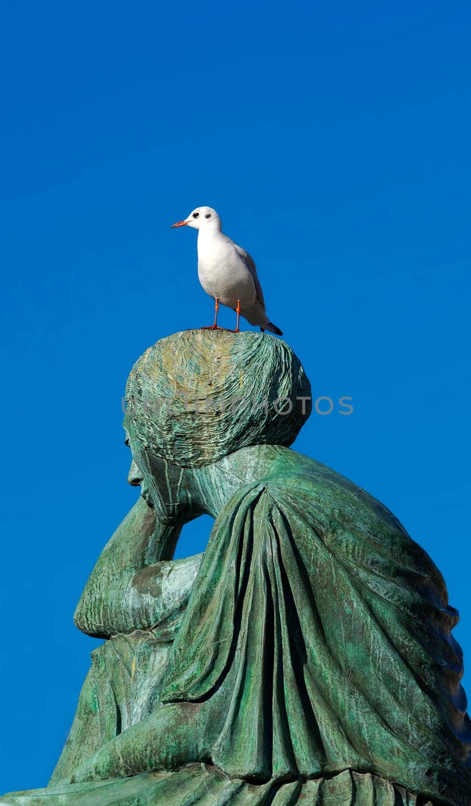 Seated Helvetia with seagull looking back melancholy