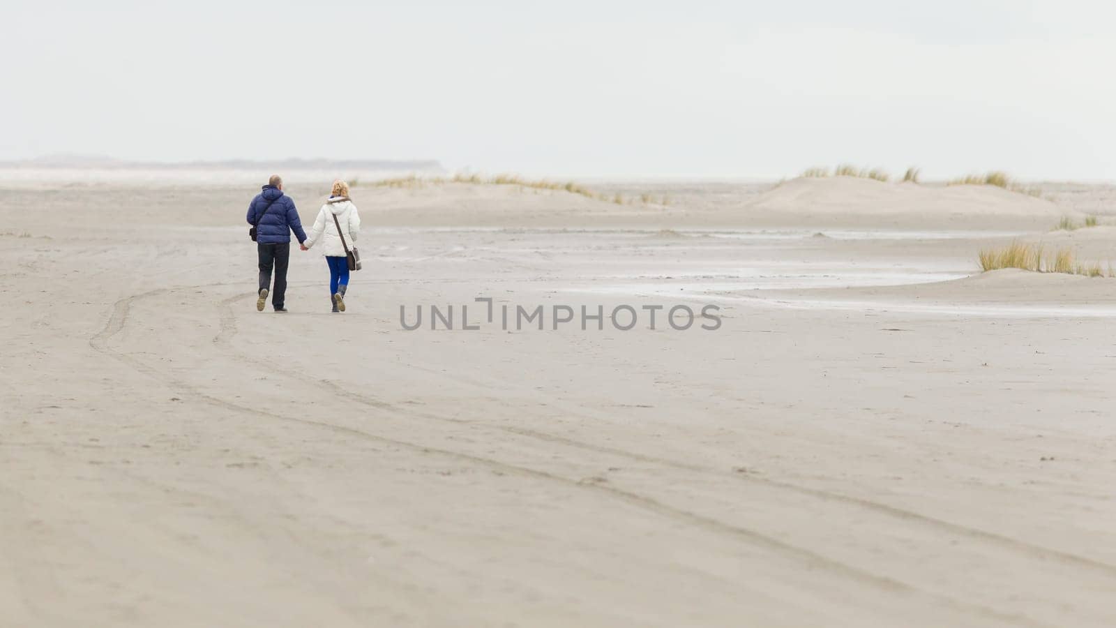 Couple walking on a dutch beach in the winter