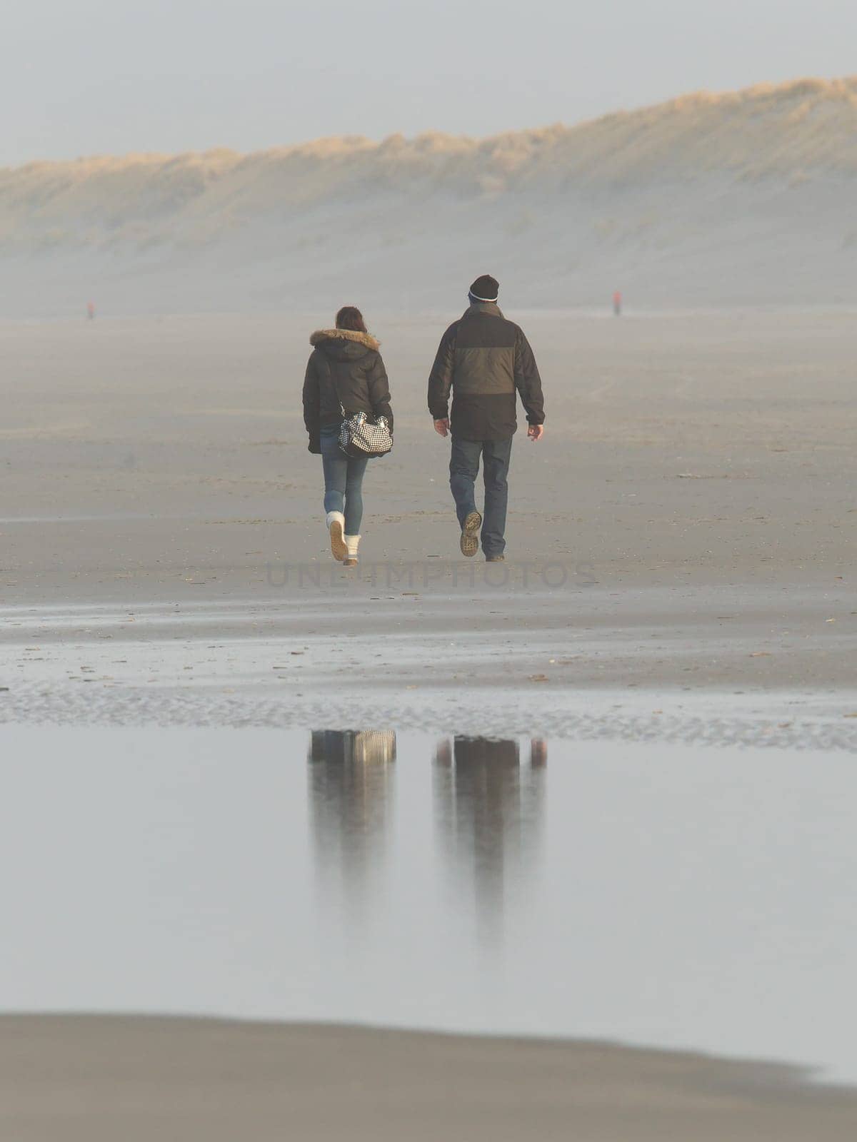 Couple walking on a dutch beach in the winter