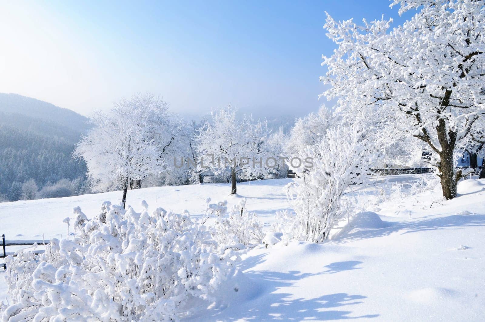 Winter Landscape in Upper Austria