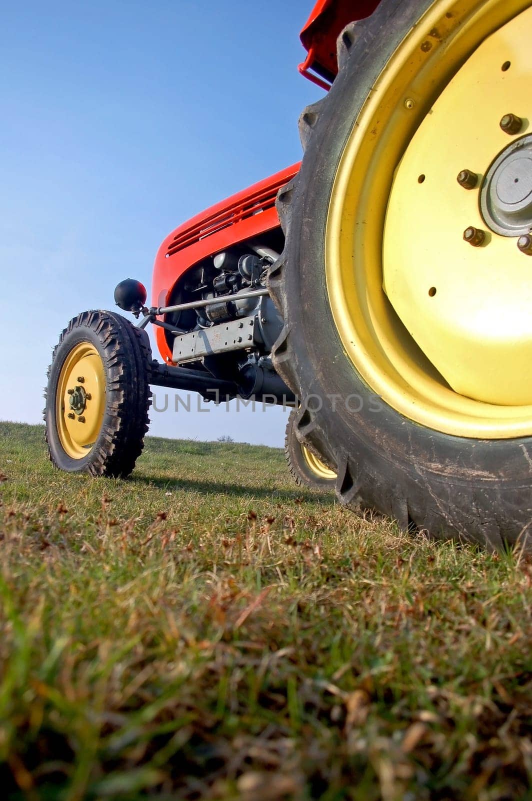 Colourful Tractor in low angle
